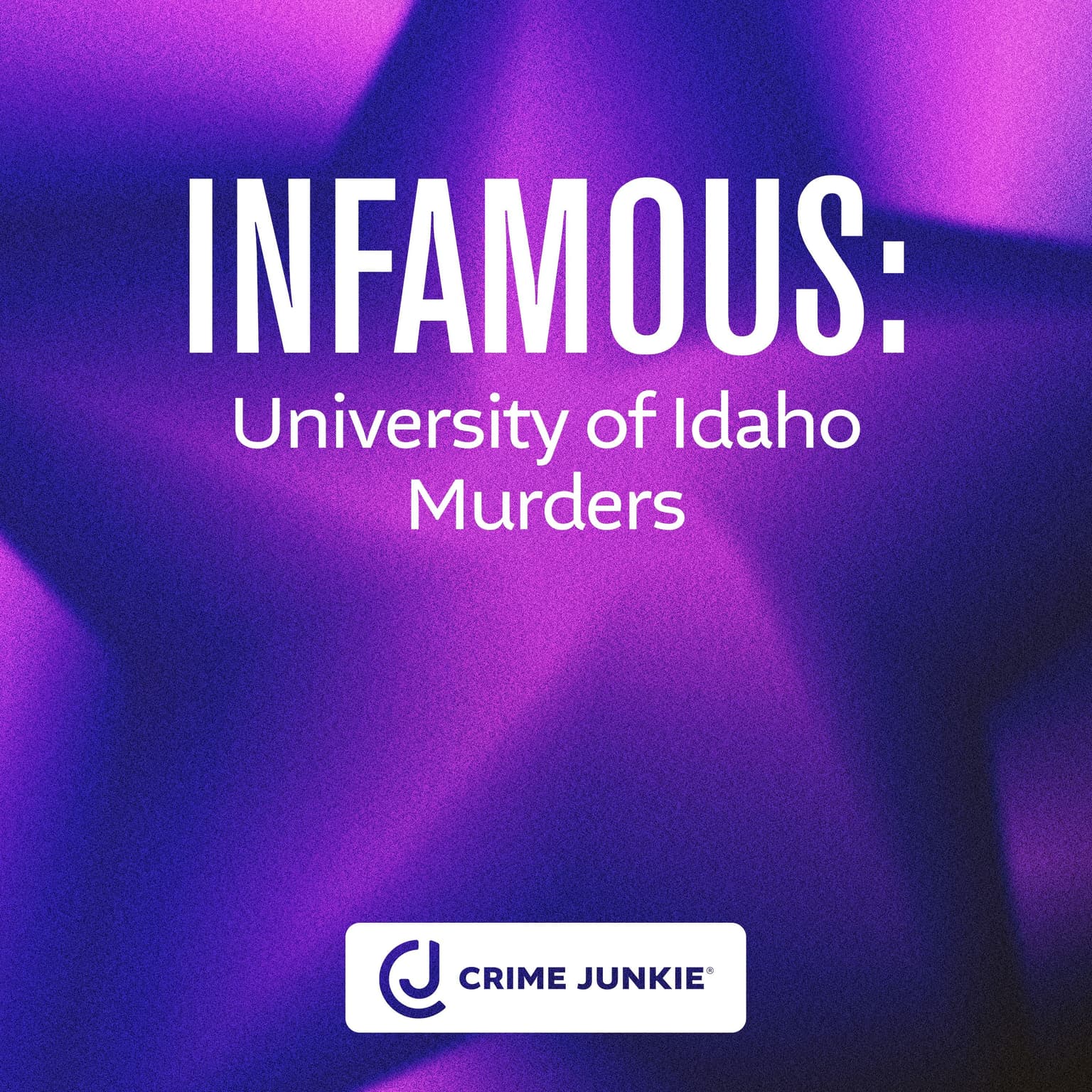 INFAMOUS: University of Idaho Murders artwork