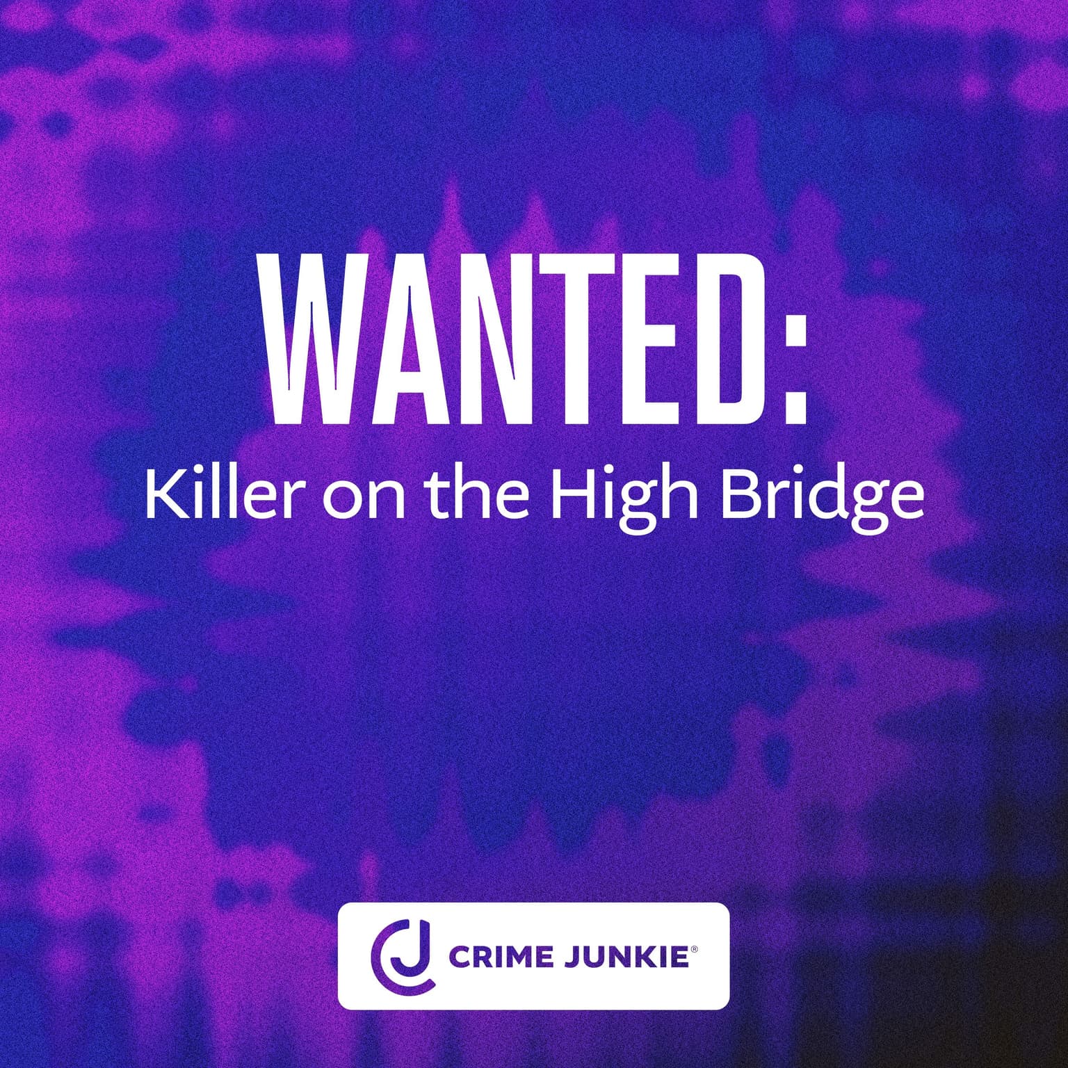WANTED: Killer on the High Bridge artwork
