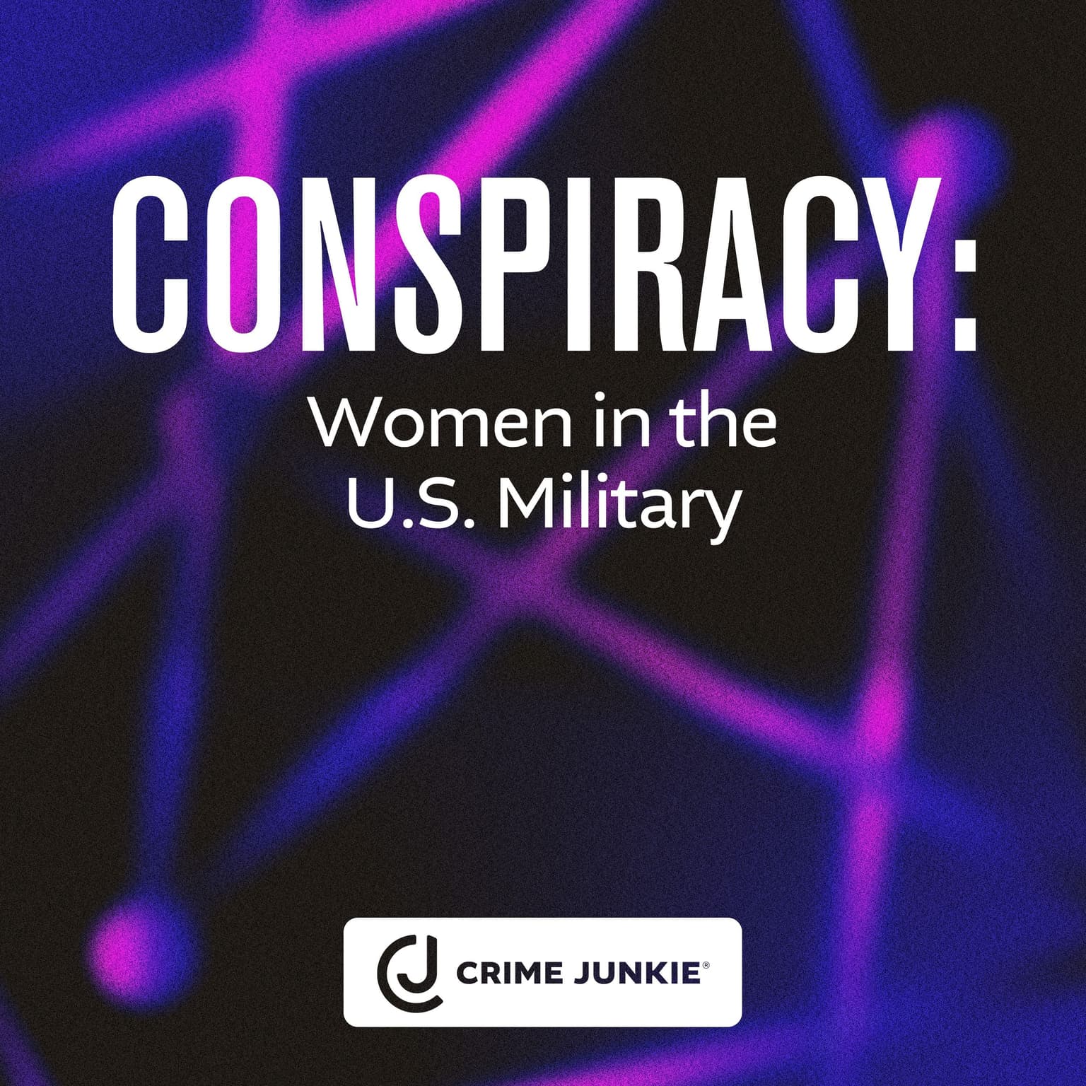 CONSPIRACY: Women in the U.S. Military artwork