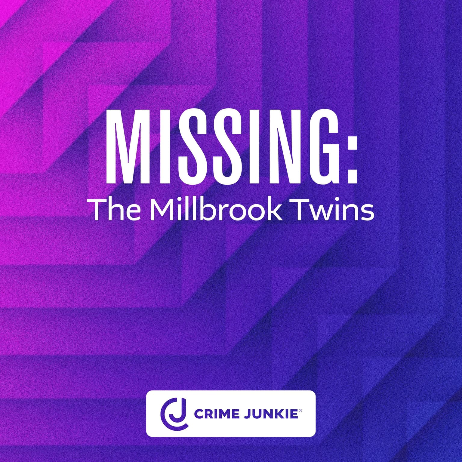 MISSING: The Millbrook Twins artwork