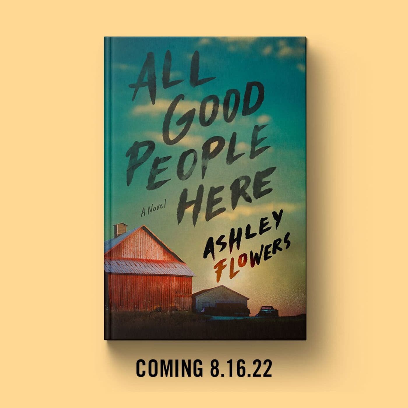 Ashley Flowers Wrote a Book! artwork