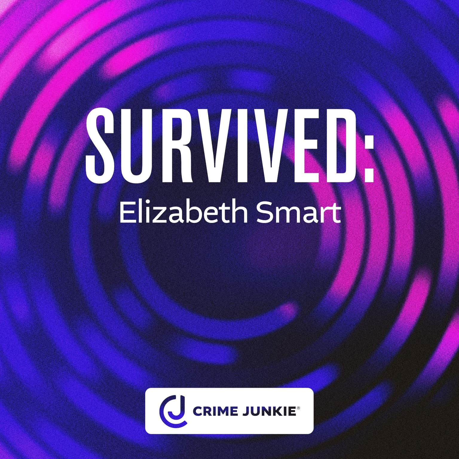 SURVIVED: Elizabeth Smart artwork