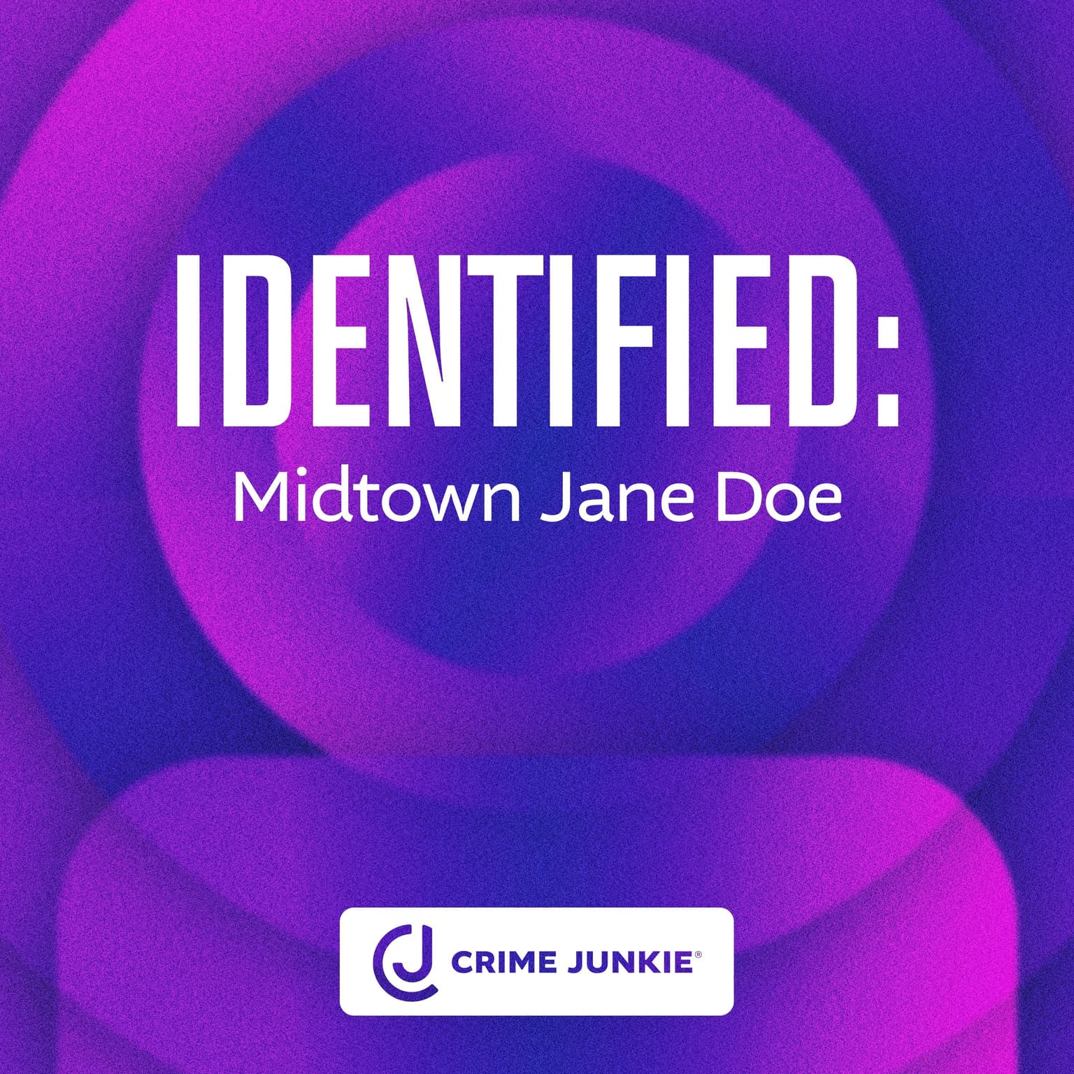 IDENTIFIED: Midtown Jane Doe artwork