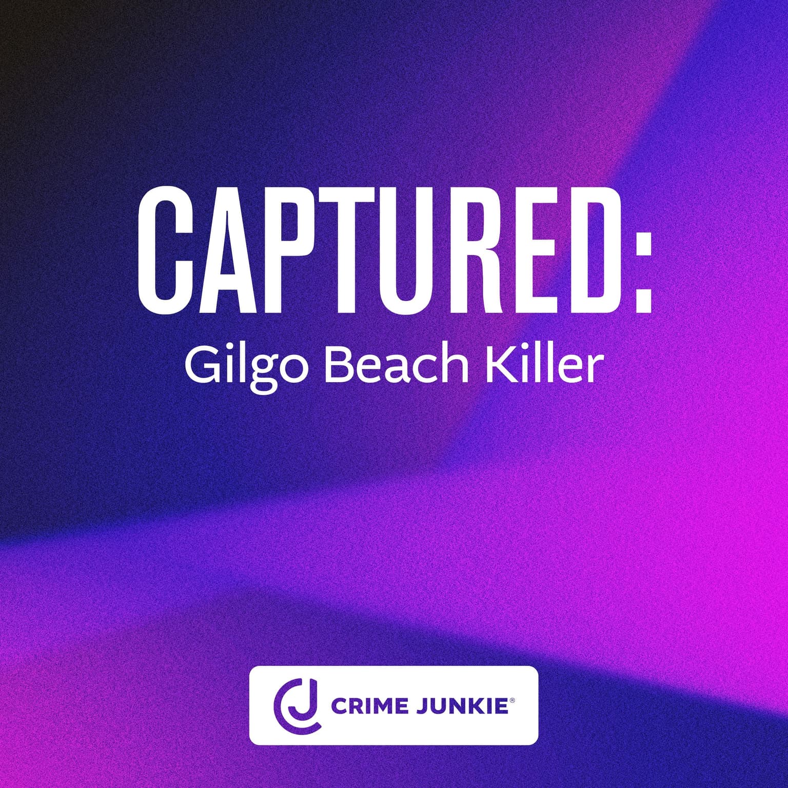 CAPTURED: Gilgo Beach Killer artwork