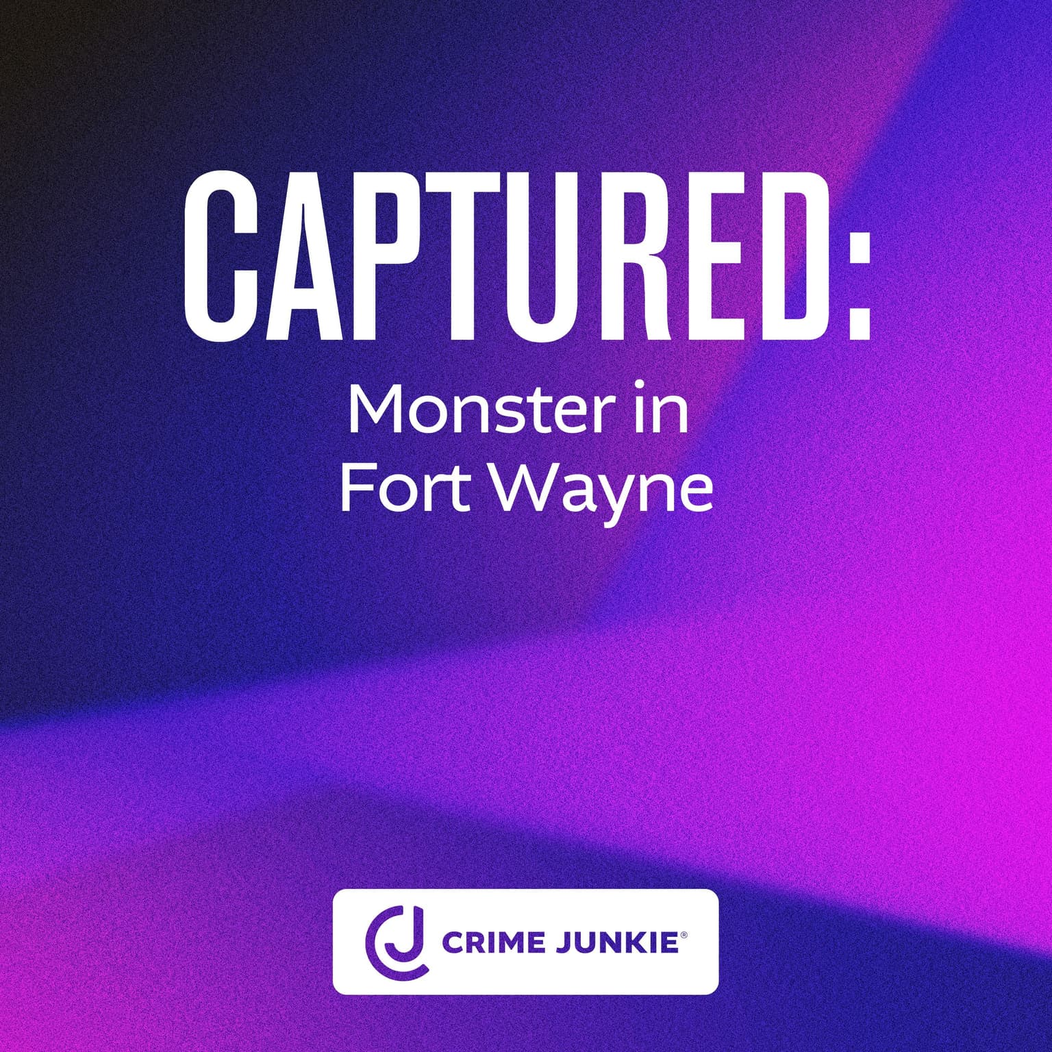CAPTURED: Monster in Fort Wayne artwork