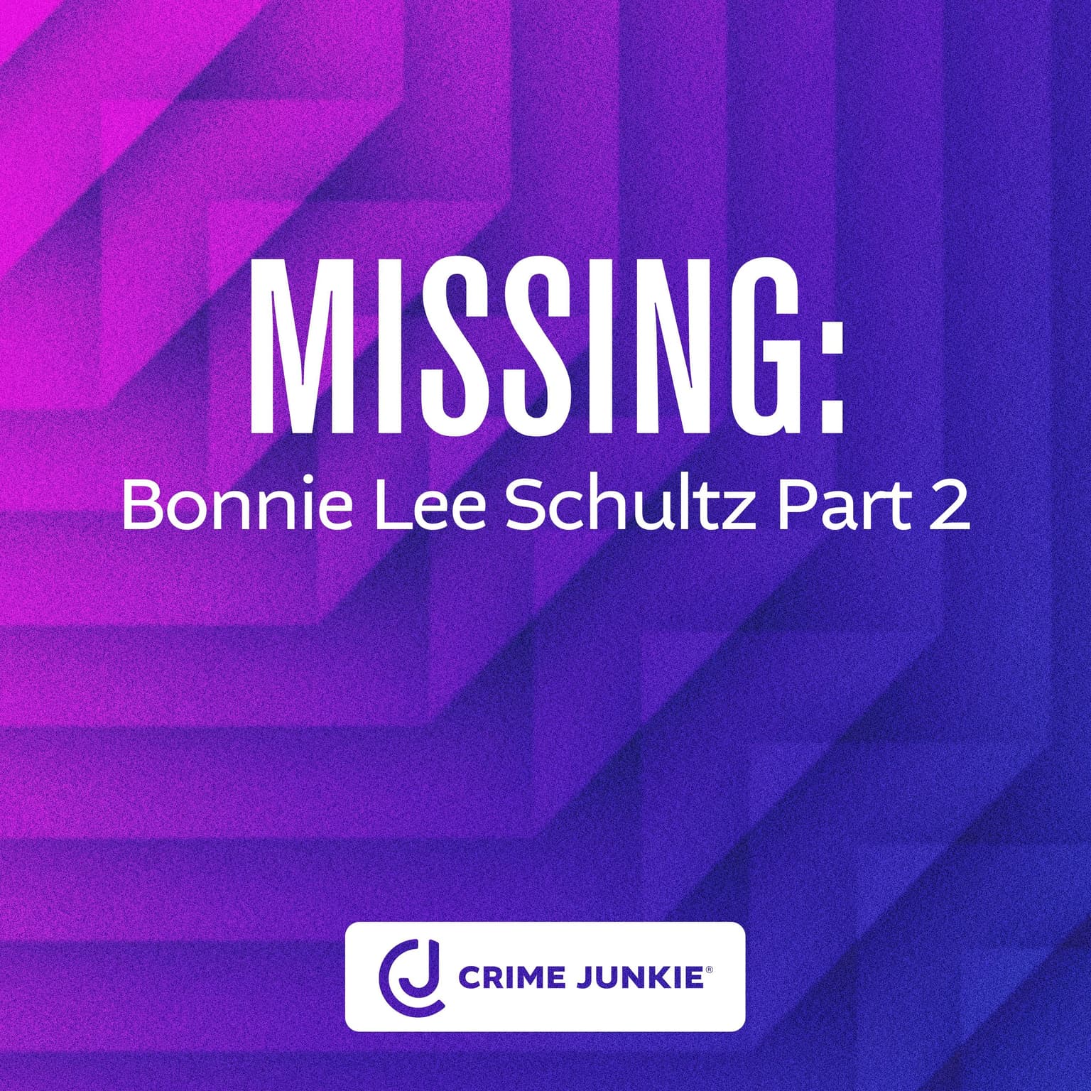 MISSING: Bonnie Lee Schultz Part 2 artwork