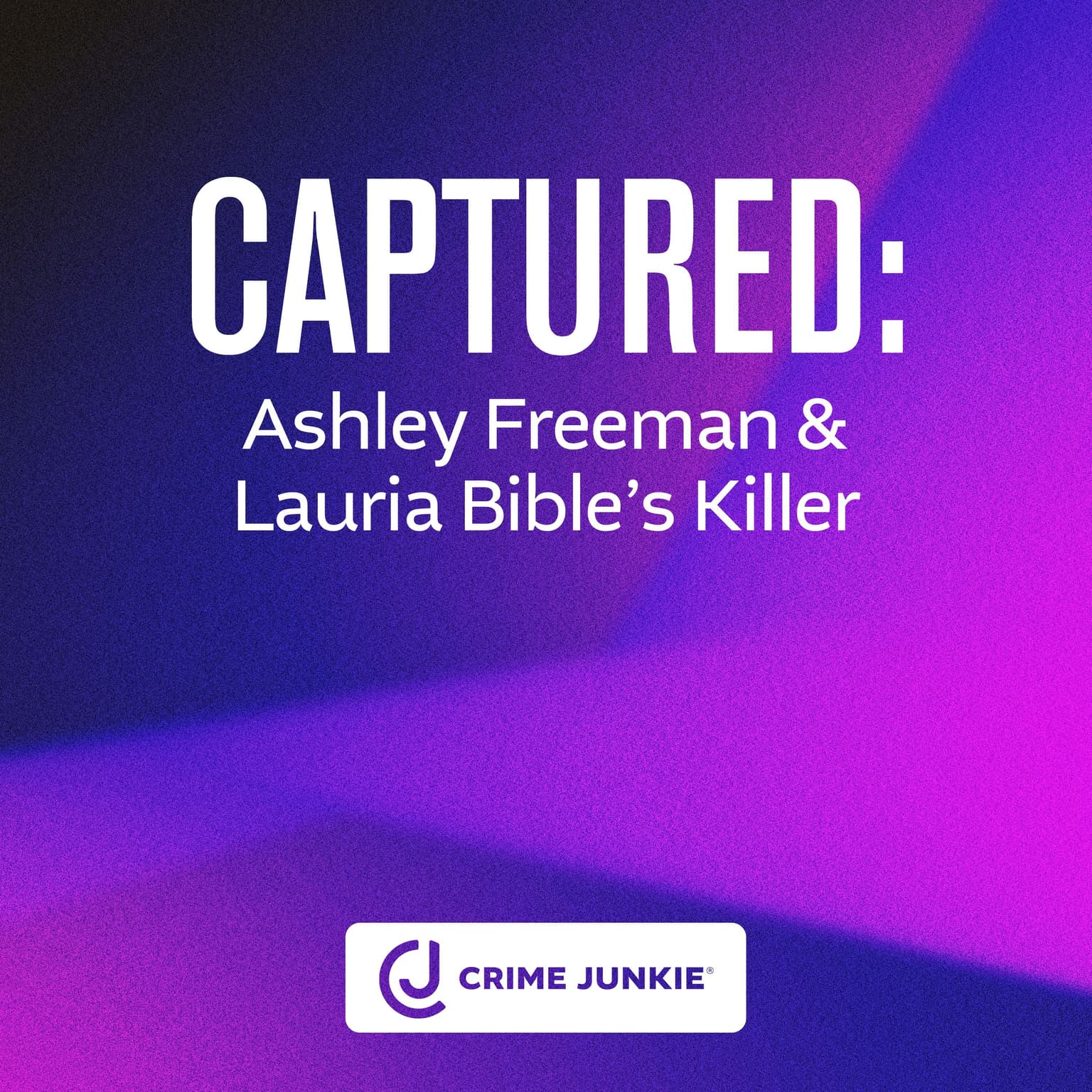 CAPTURED: Ashley Freeman and Lauria Bible's Killer artwork