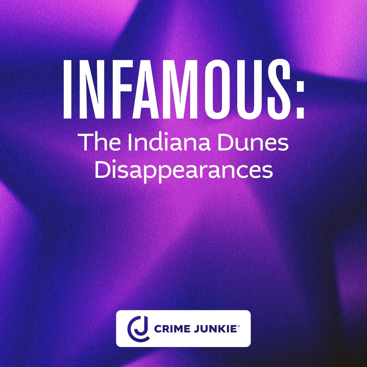 INFAMOUS: Indiana Dunes Disappearances artwork