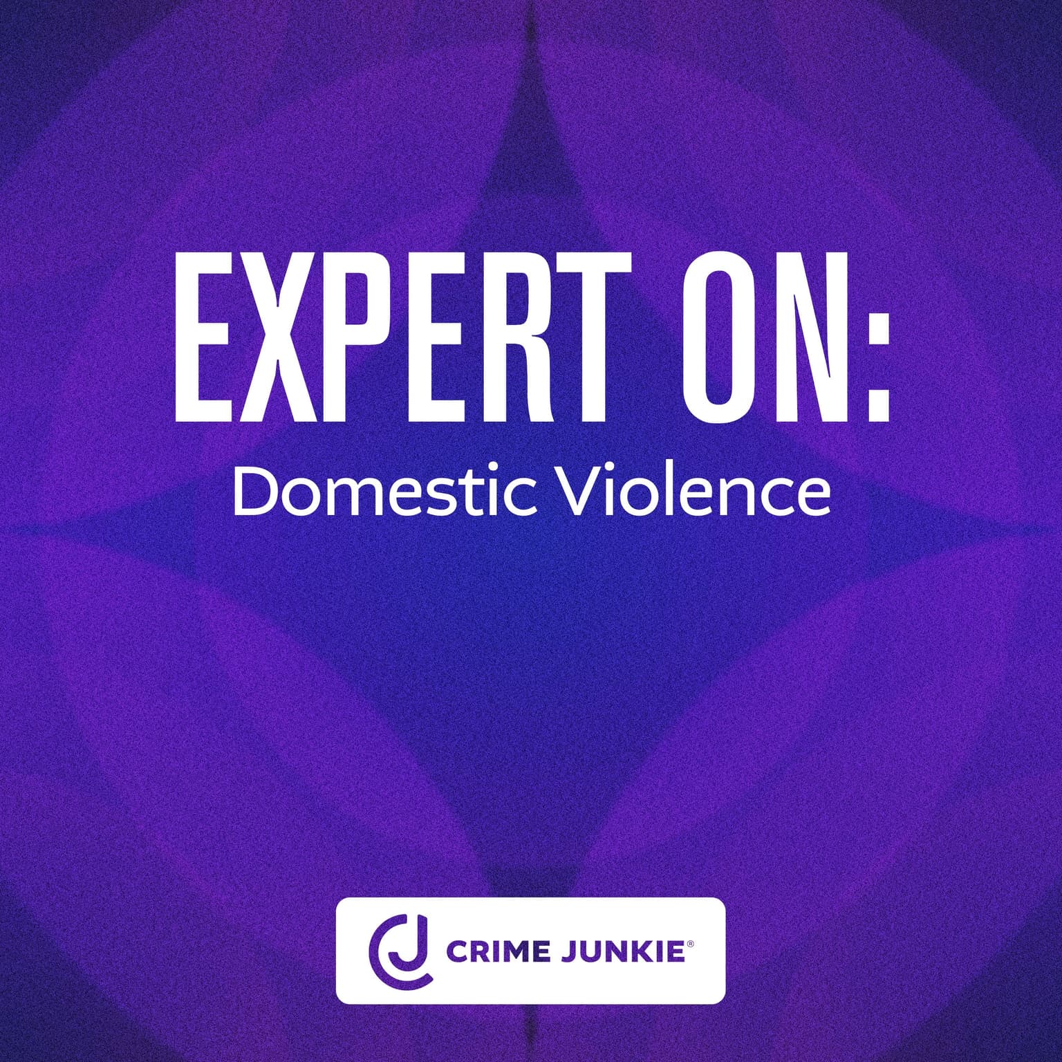 EXPERT ON: Domestic Violence artwork