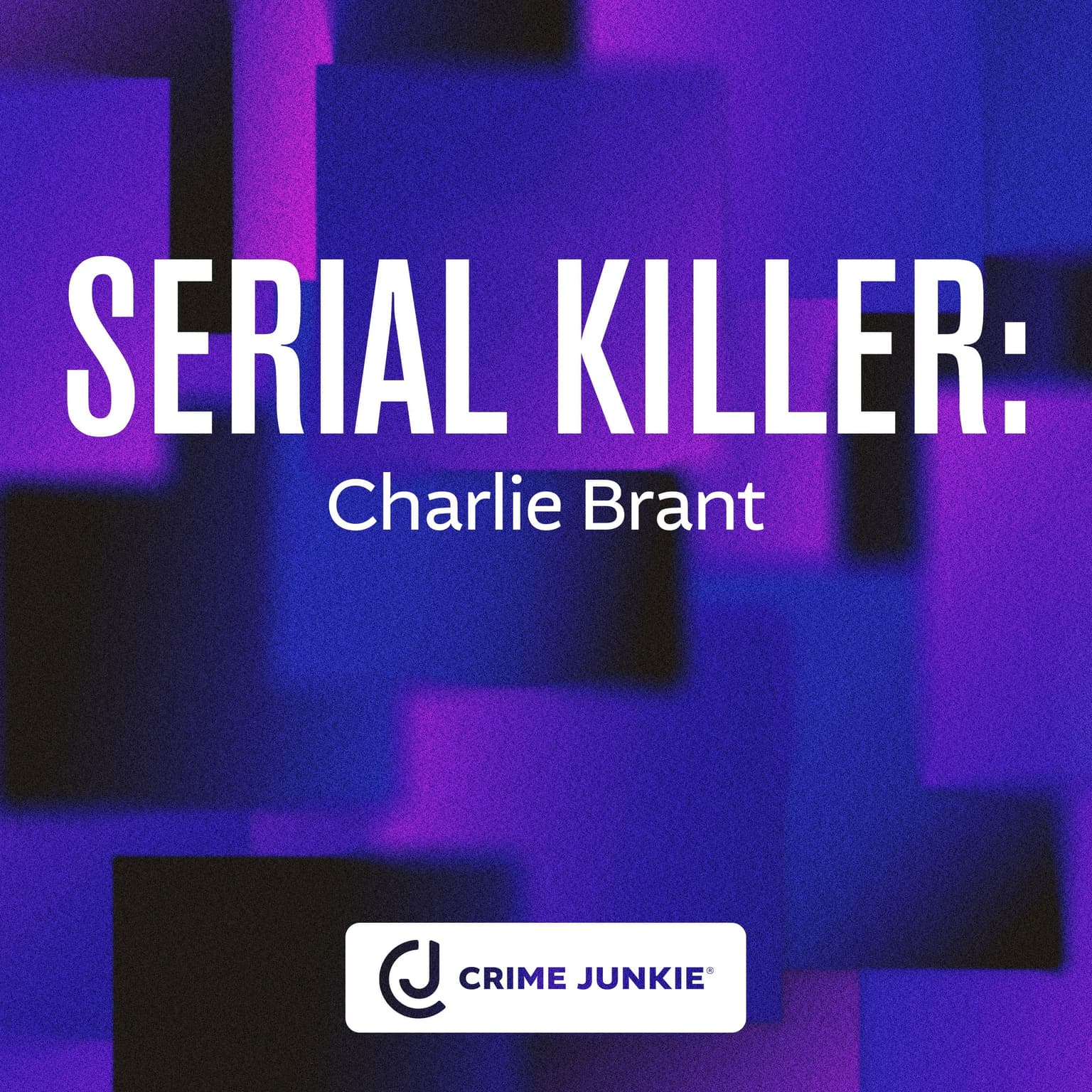 SERIAL KILLER: Charlie Brandt artwork