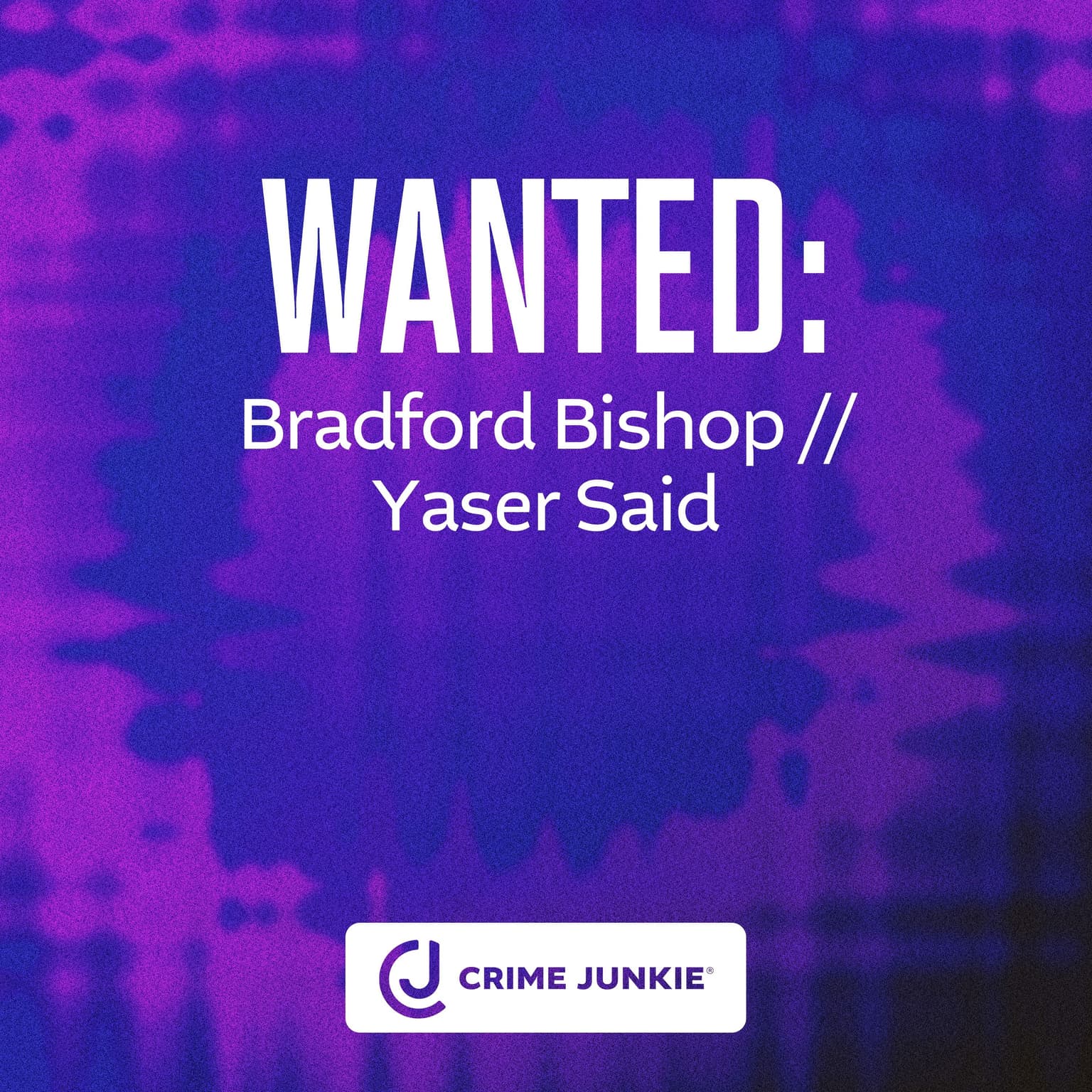 WANTED: Bradford Bishop // Yaser Said artwork