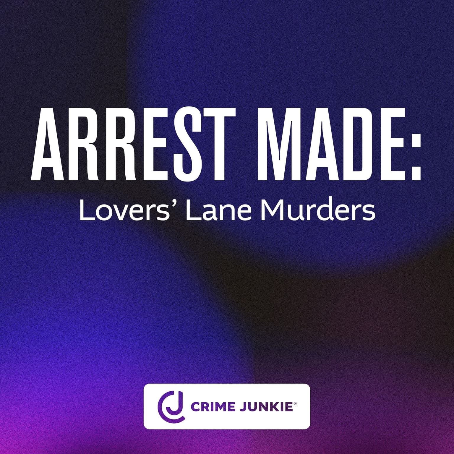 ARREST MADE: Lovers' Lane Murders artwork