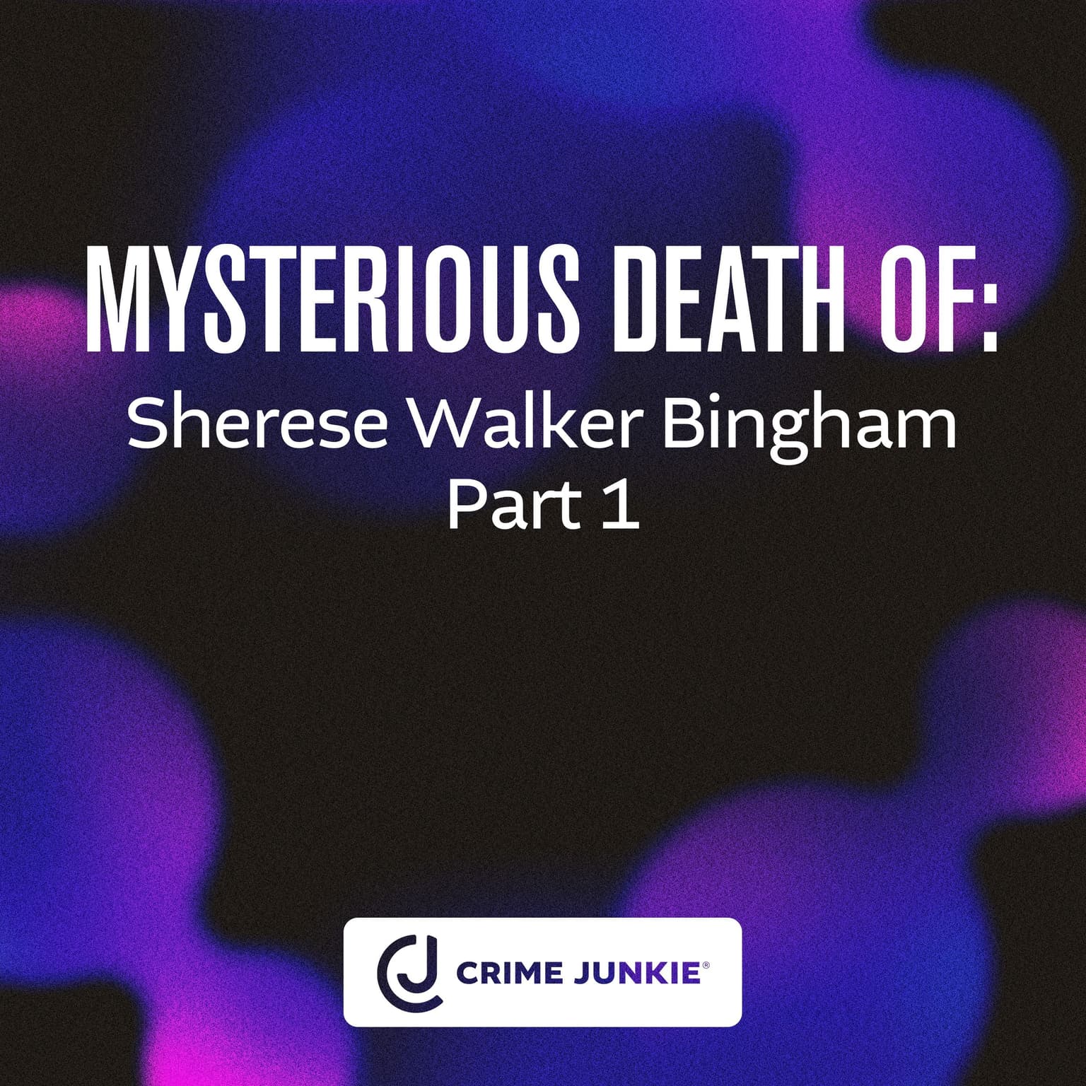 MYSTERIOUS DEATH OF: Sherese Walker Bingham Part 1 artwork
