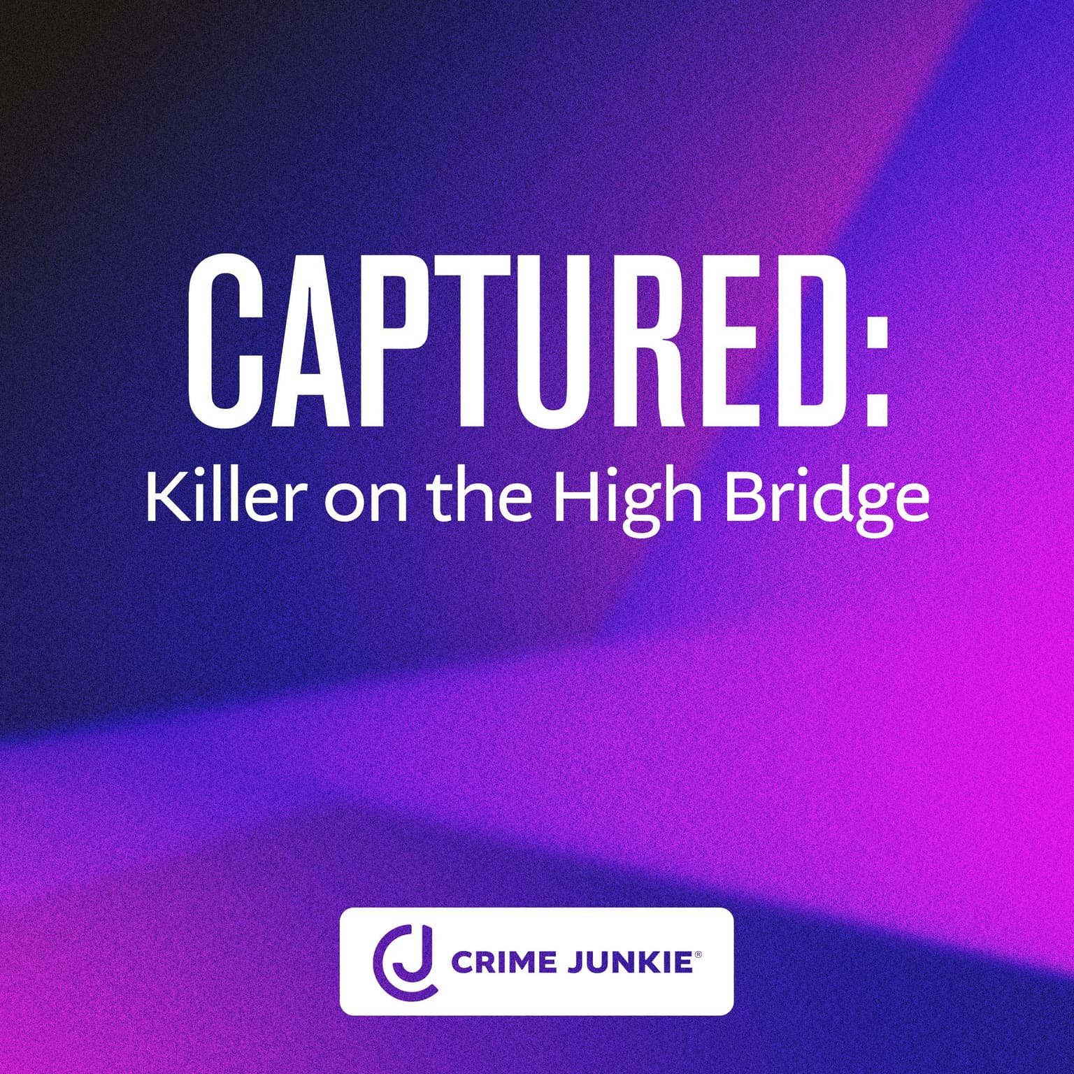 CAPTURED: Killer on the High Bridge artwork