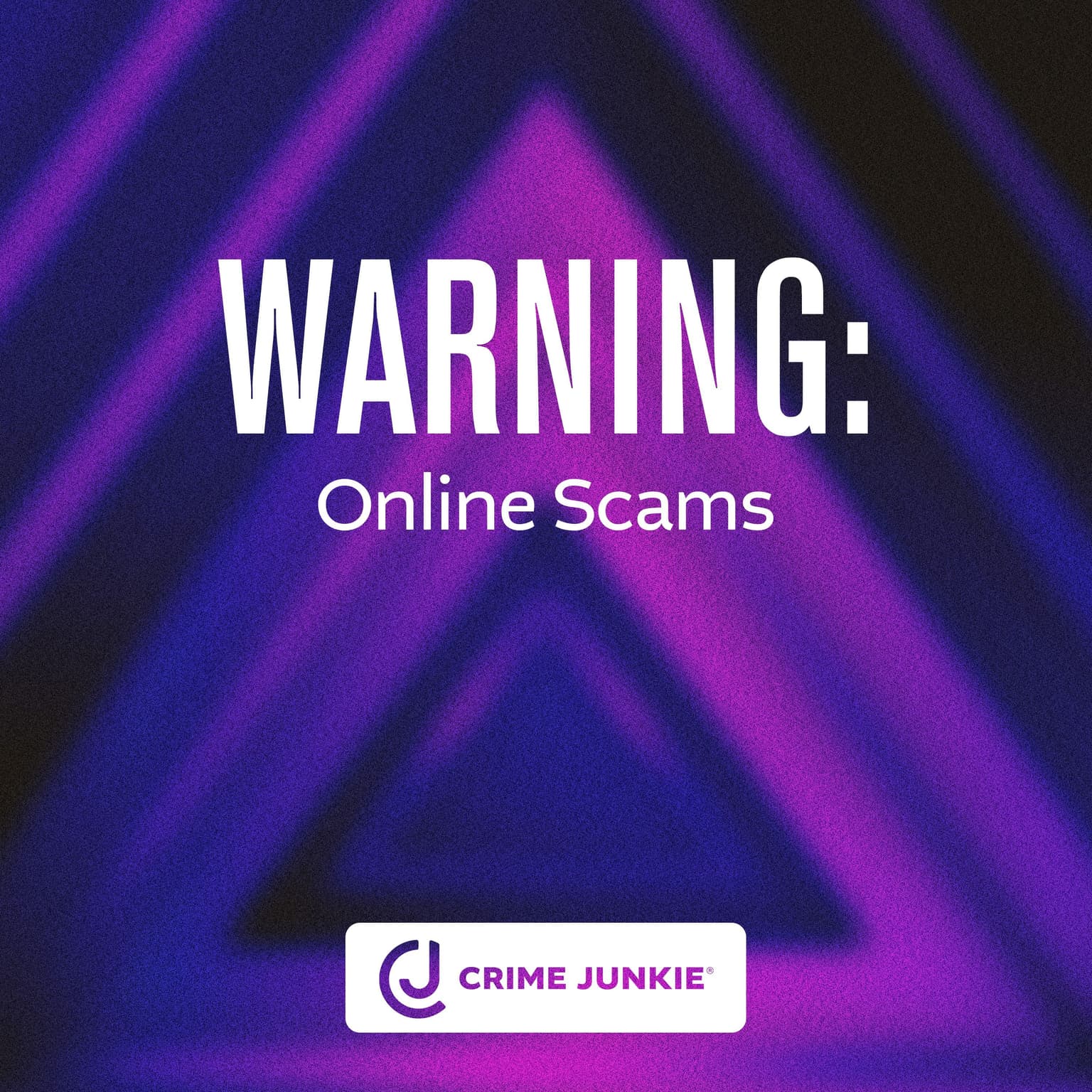 WARNING: Online Scams artwork