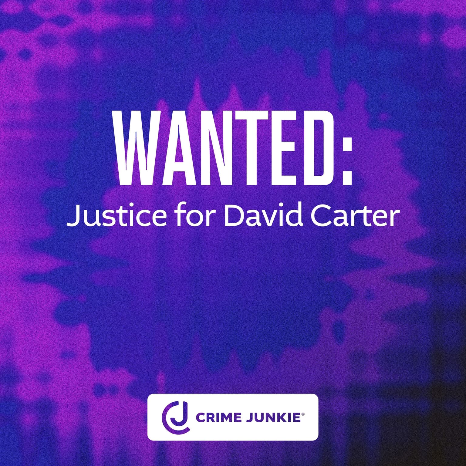 WANTED: Justice for David Carter artwork