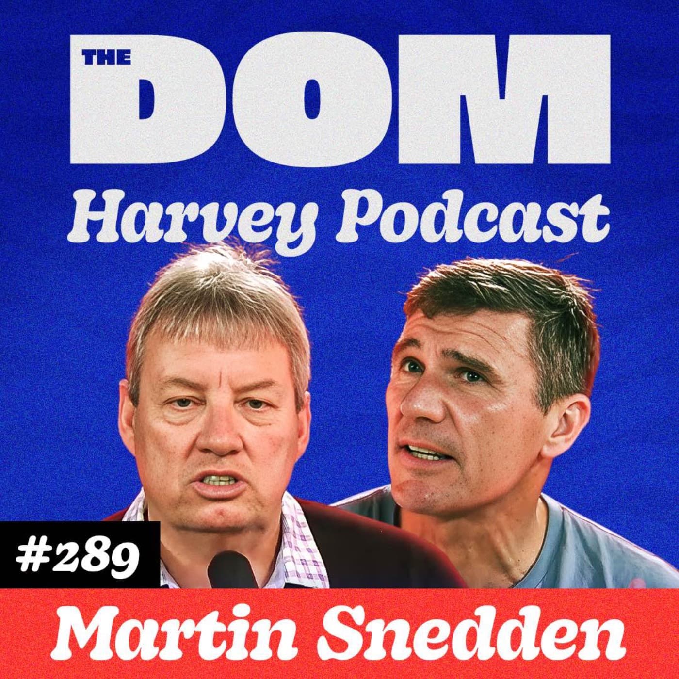 Underarm Bowling to the Rugby World Cup: Martin Snedden’s Incredible Life artwork