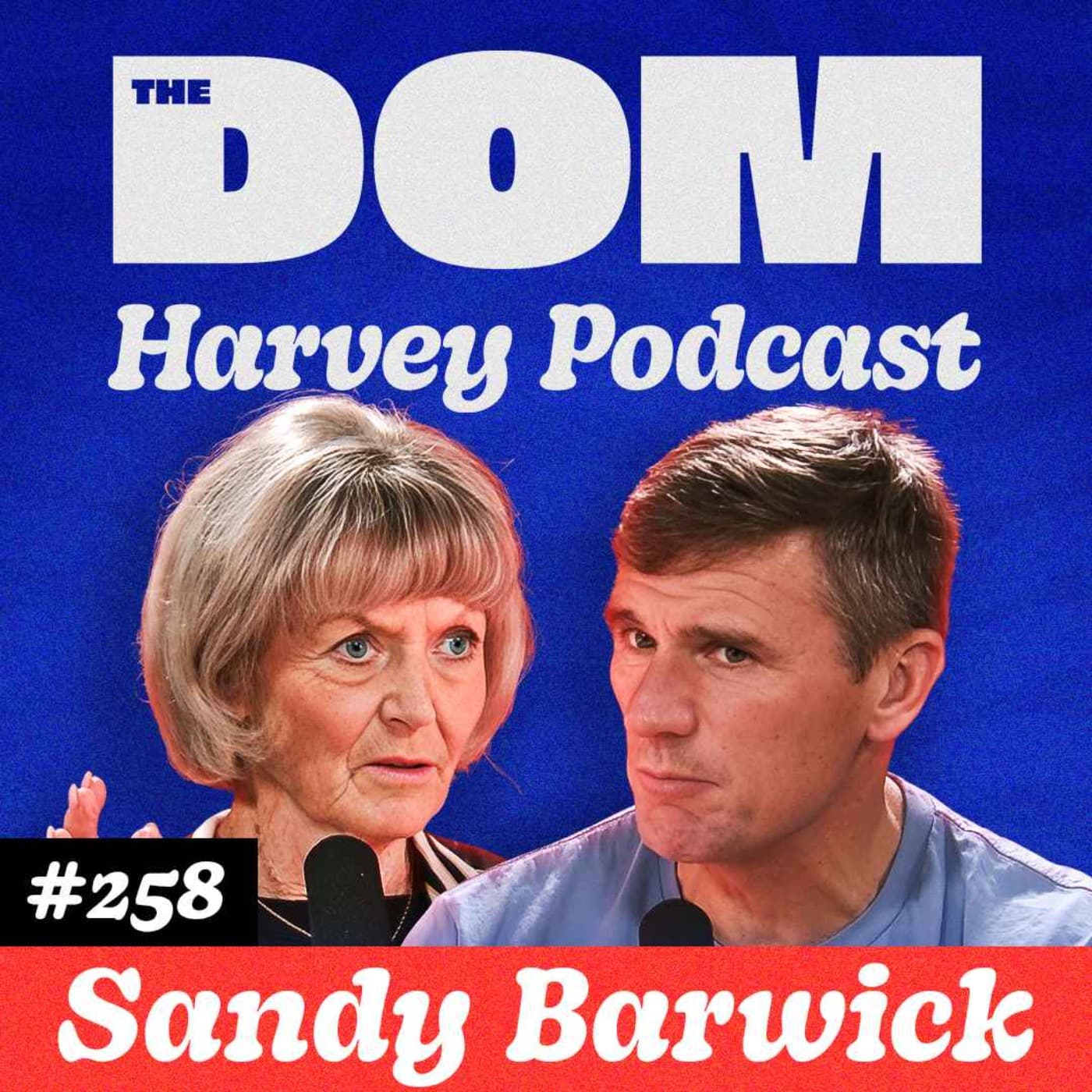 The Ultra Running Legend You’ve Never Heard Of | Kiwi Ultra Marathon Pioneer Sandy Barwick artwork