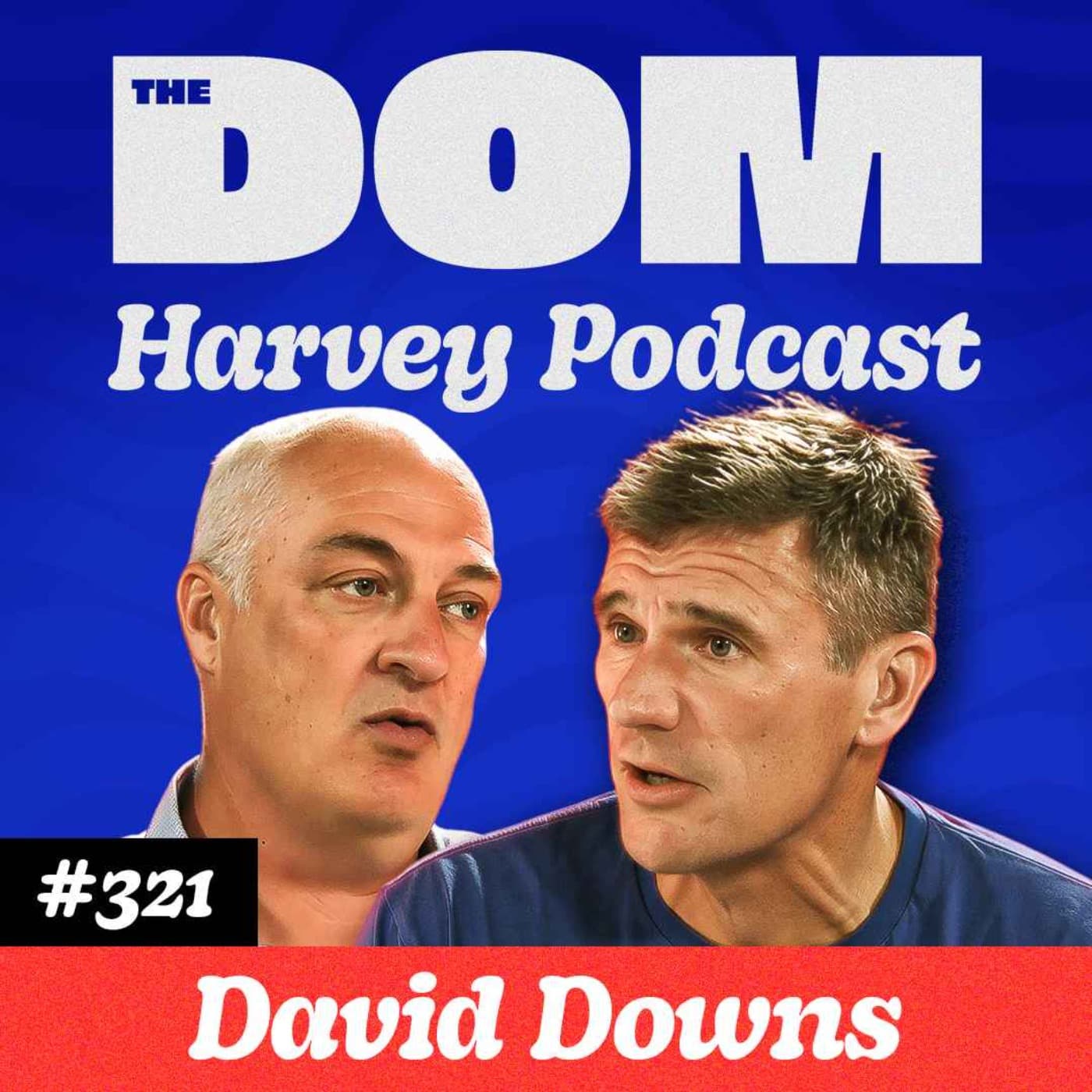 David Downs: Comedian, Cancer Survivor & The Man Selling NZ to the World artwork