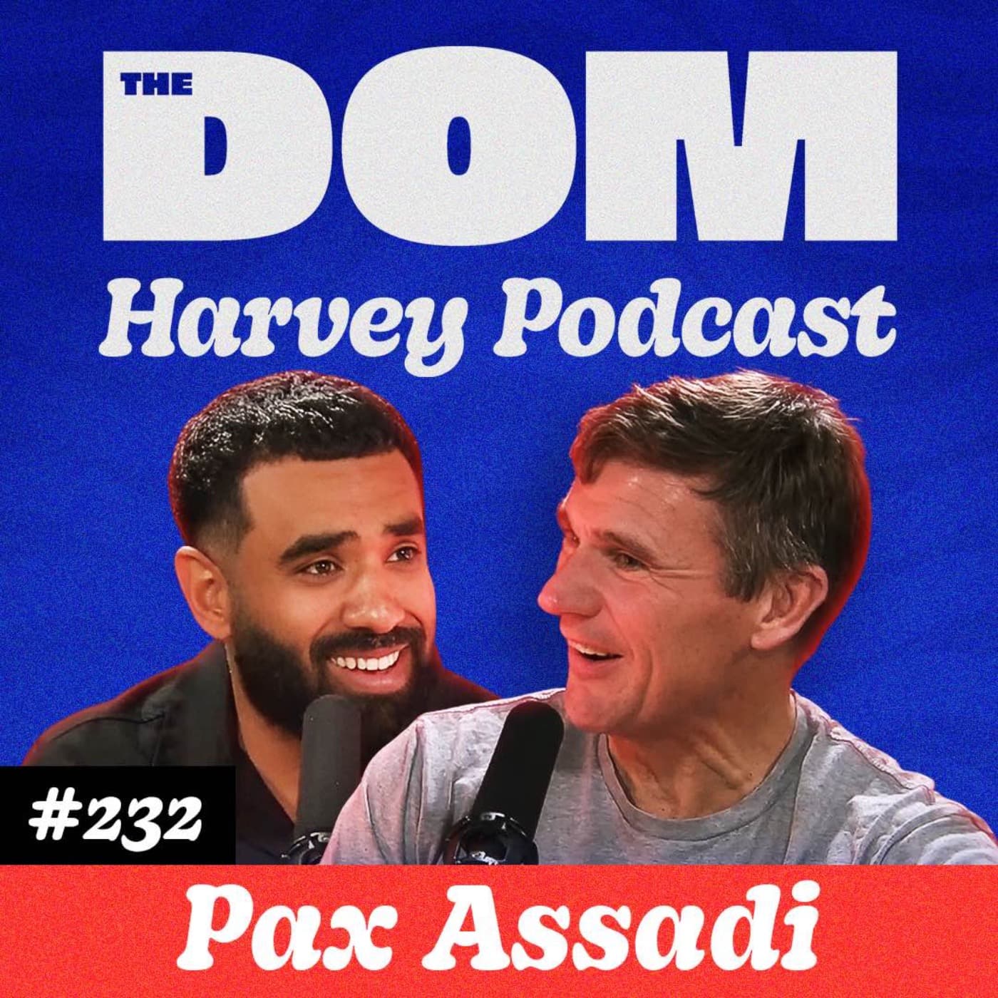 Pax Assadi on shocking NZ Racism: "After 9/11, I Pretended to be Tongan!" artwork