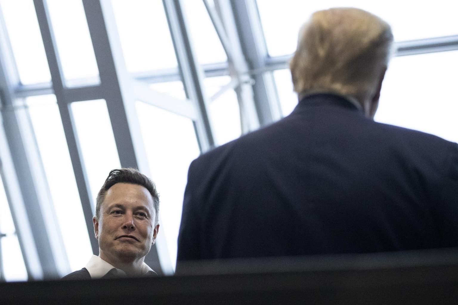What Can Musk Offer Trump? And Defining “Decolonization” for Gaza artwork