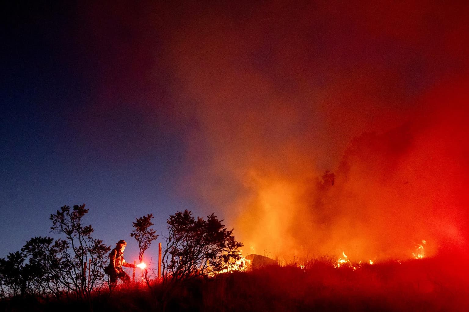 "This is Fine" artwork