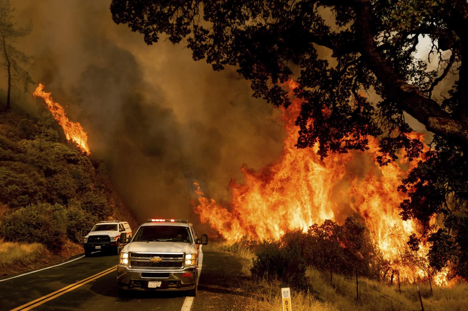 The Wrong Fires artwork