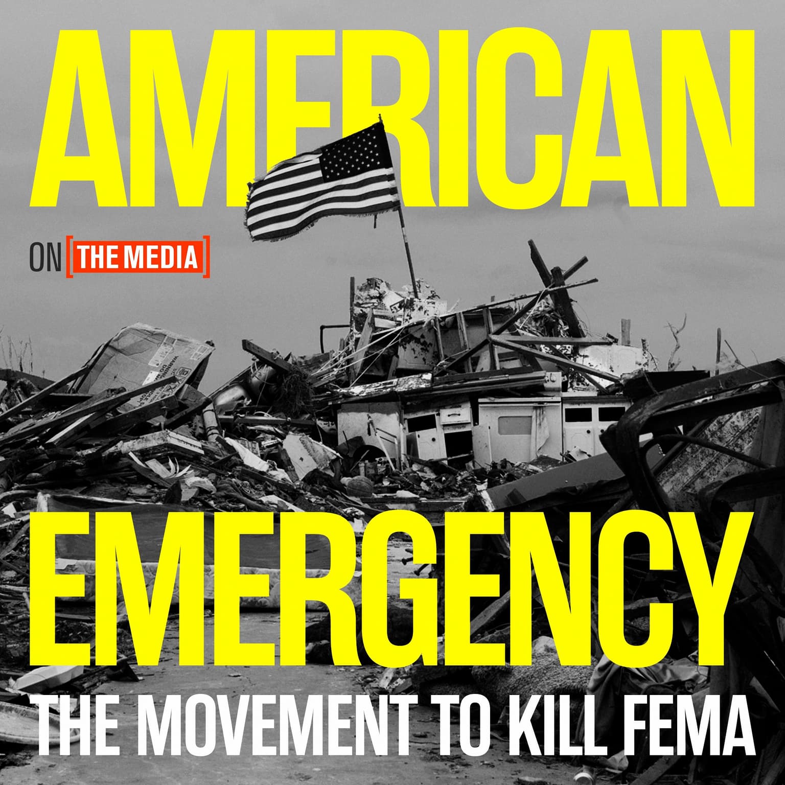 American Emergency: The Movement to Kill FEMA artwork