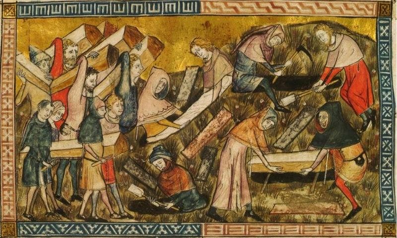 Epidemics Show Societies Who They Really Are artwork