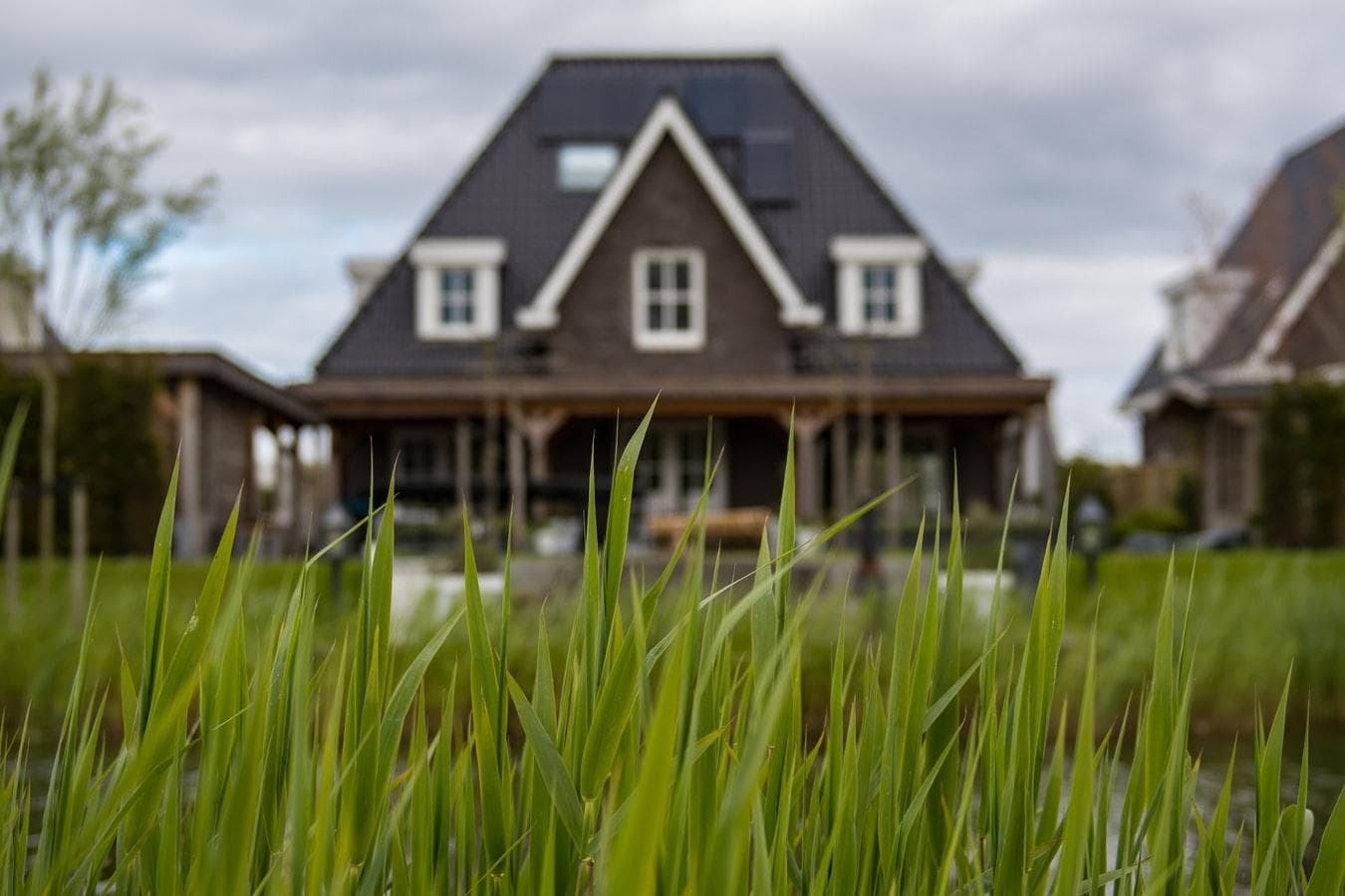 Home Green Home artwork