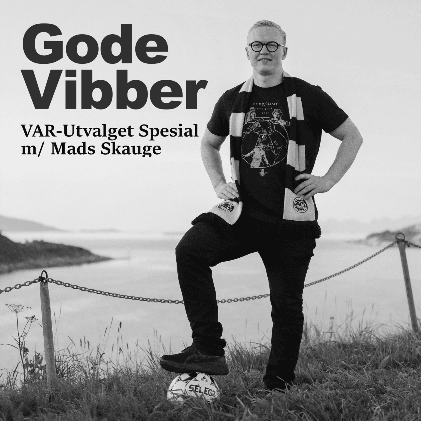 VAR-utvalget Spesial /m Mads Skauge artwork