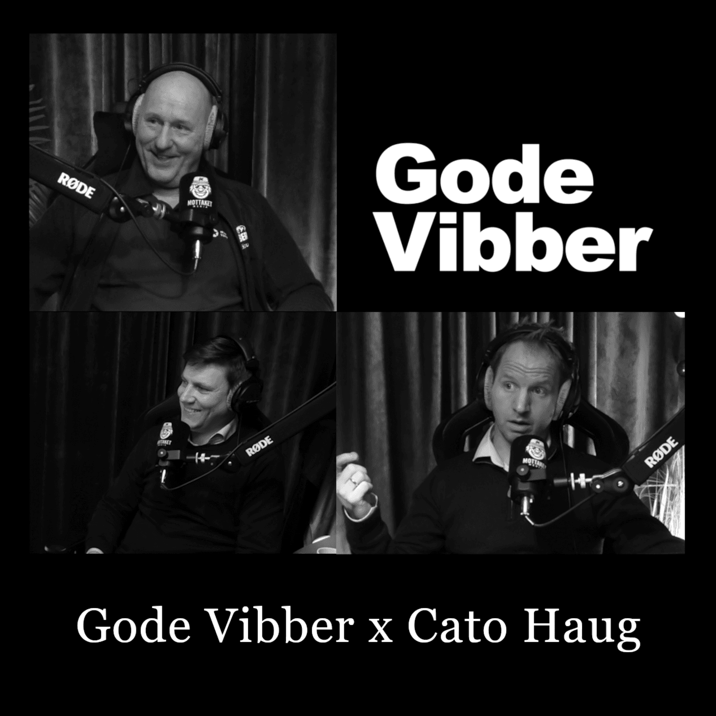Gode Vibber x Cato Haug artwork