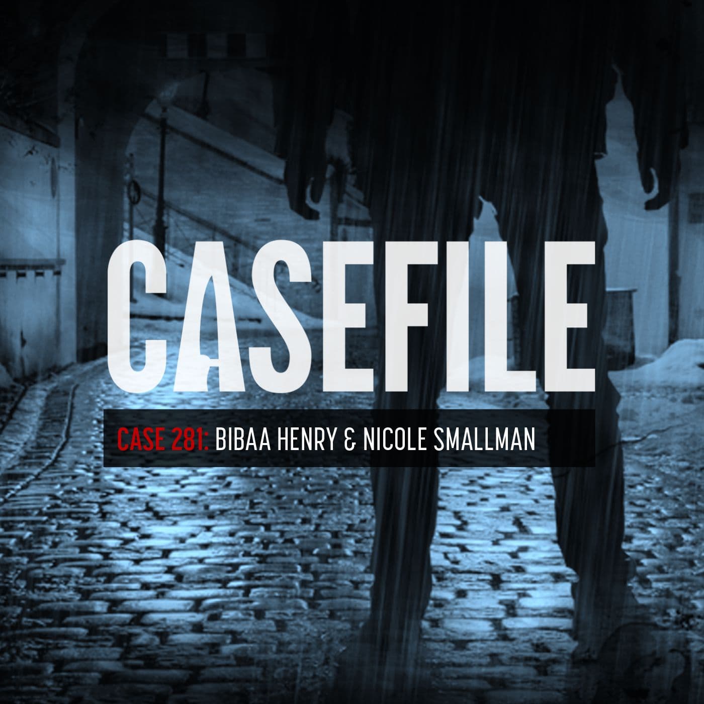 Case 281: Bibaa Henry & Nicole Smallman artwork