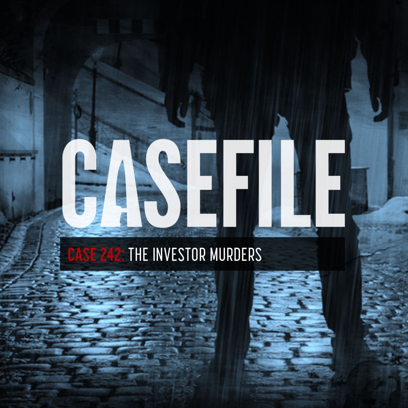 Case 242: The Investor Murders artwork