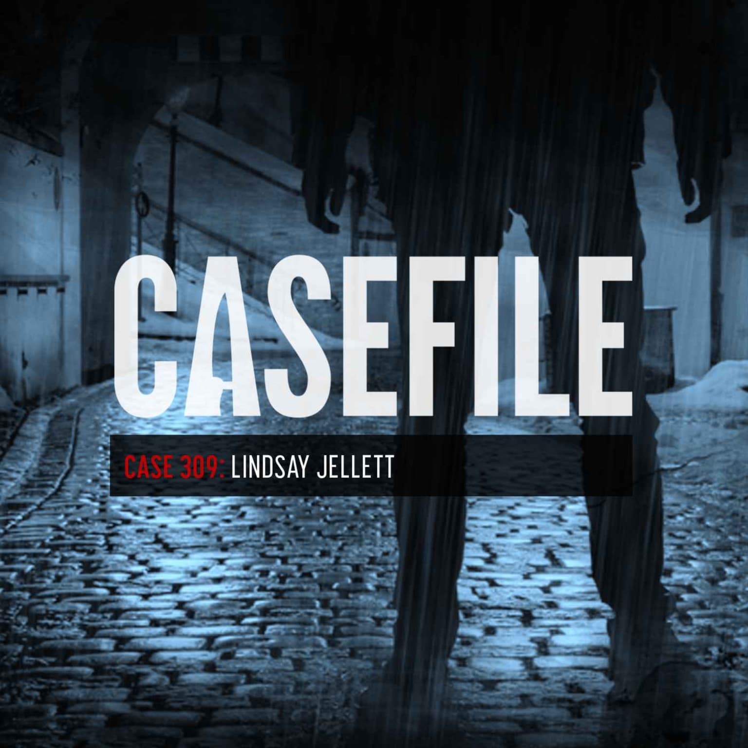 Case 309: Lindsay Jellett artwork