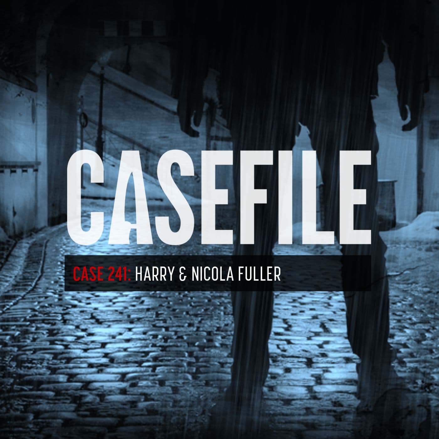 Case 241: Harry & Nicola Fuller artwork