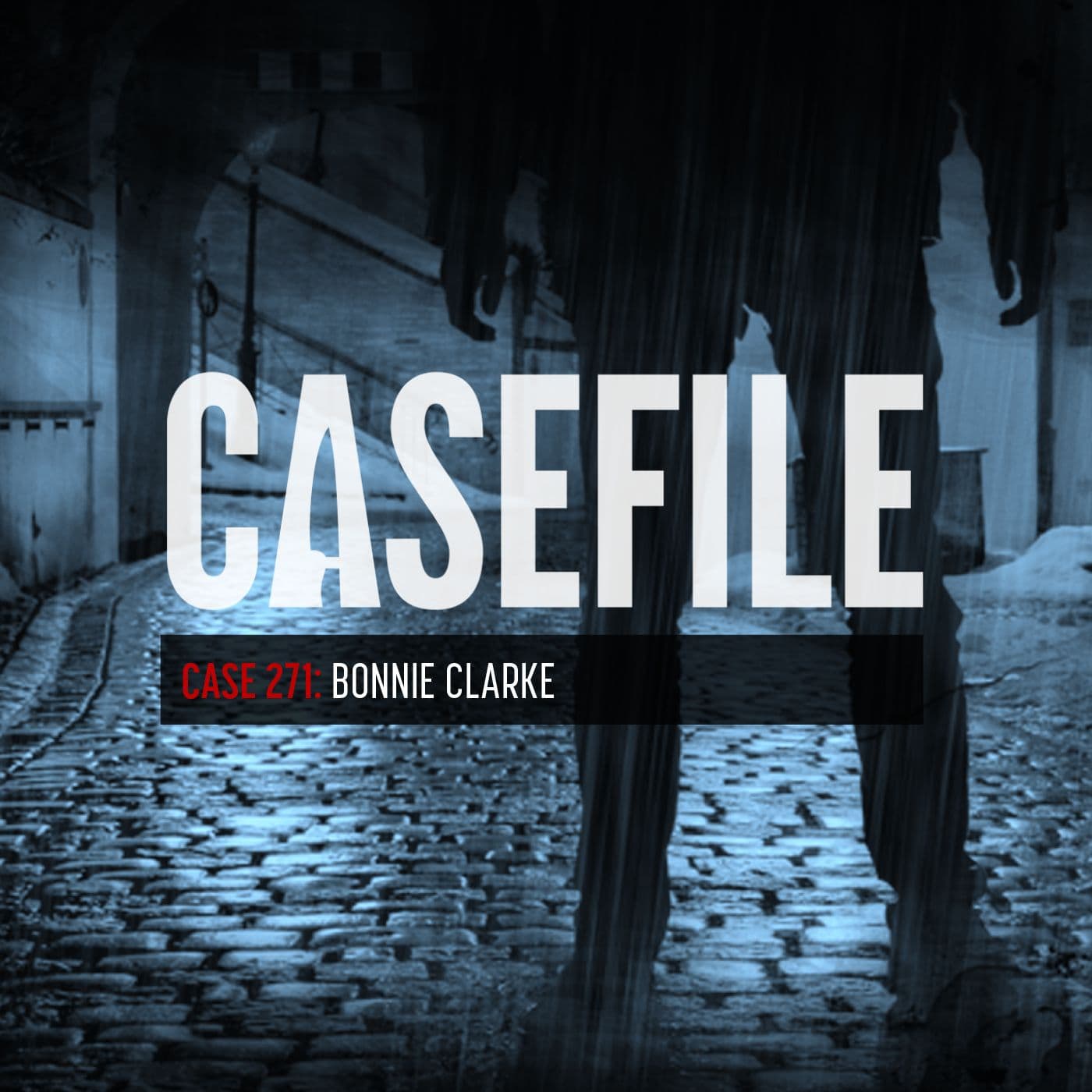 Case 271: Bonnie Clarke artwork