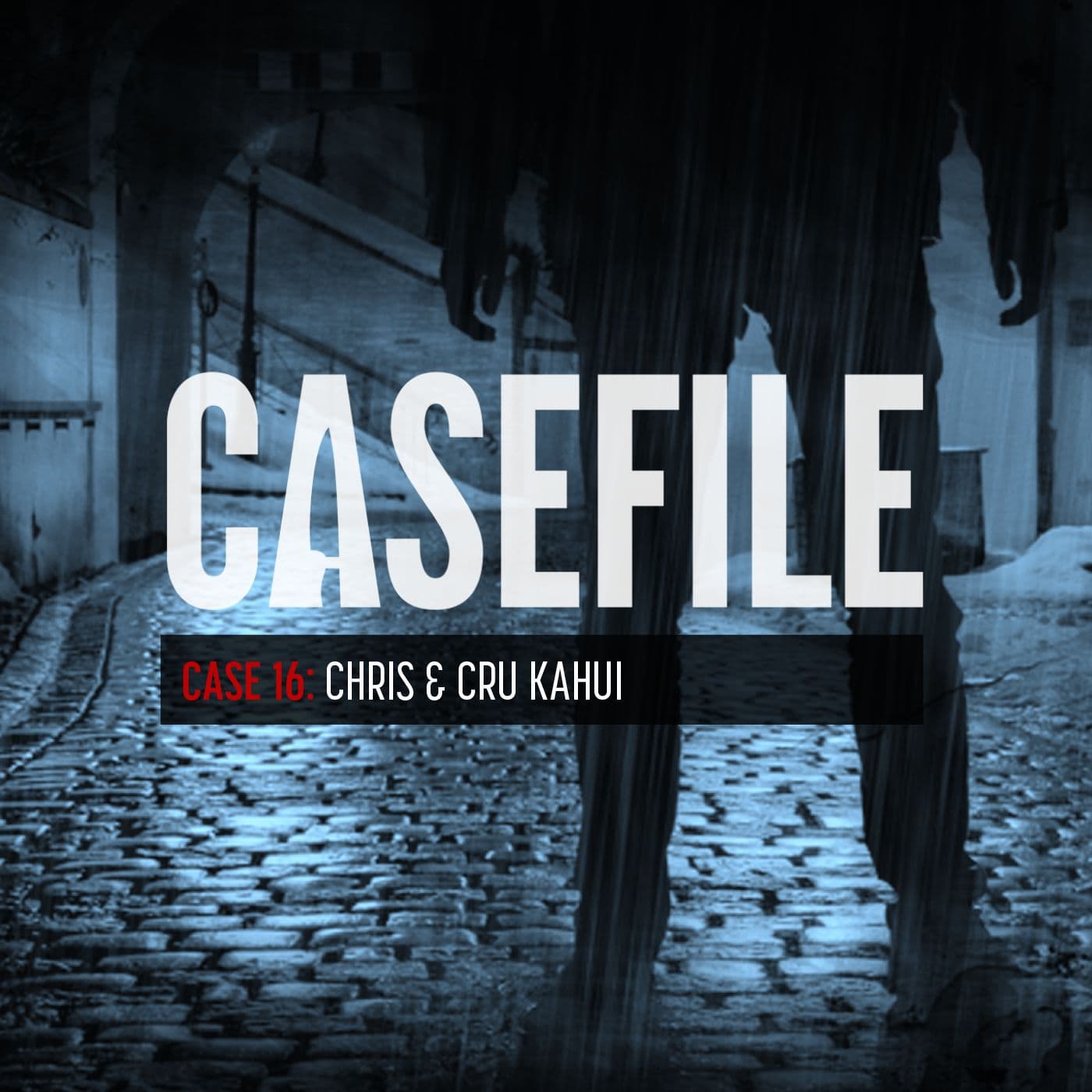 Case 16: Chris & Cru Kahui artwork
