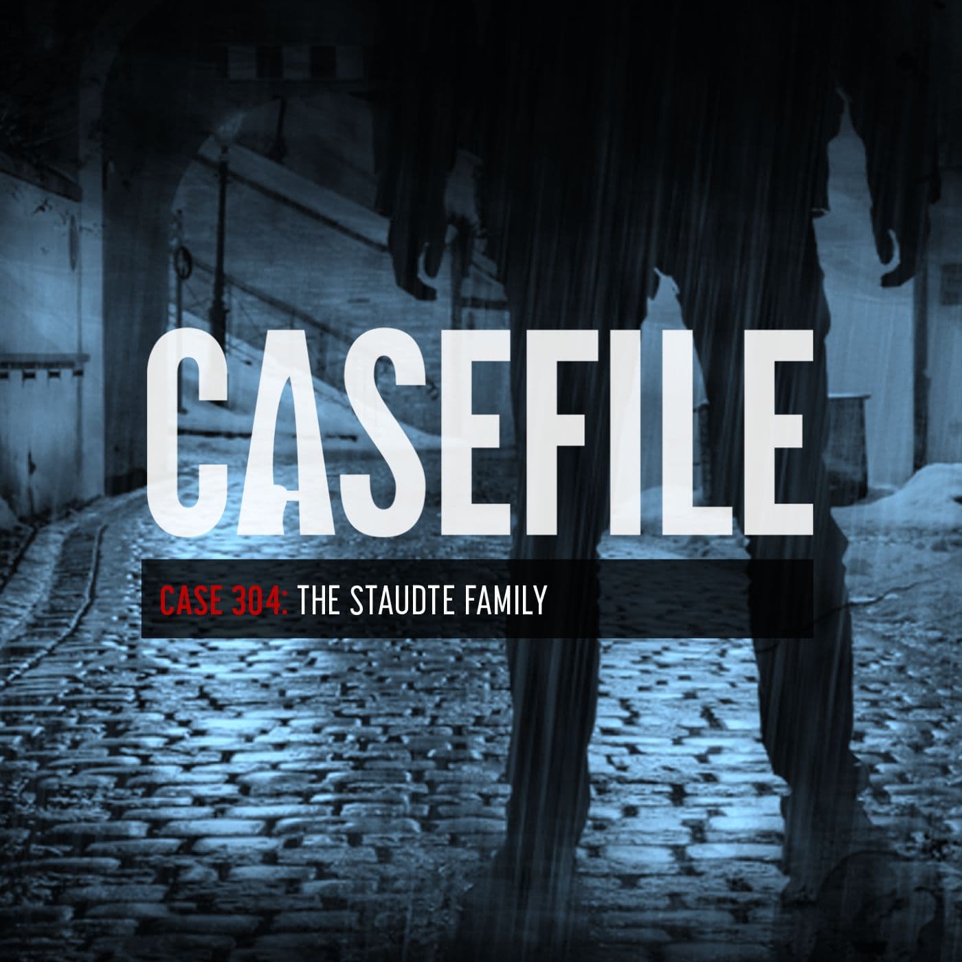 Case 304: The Staudte Family artwork