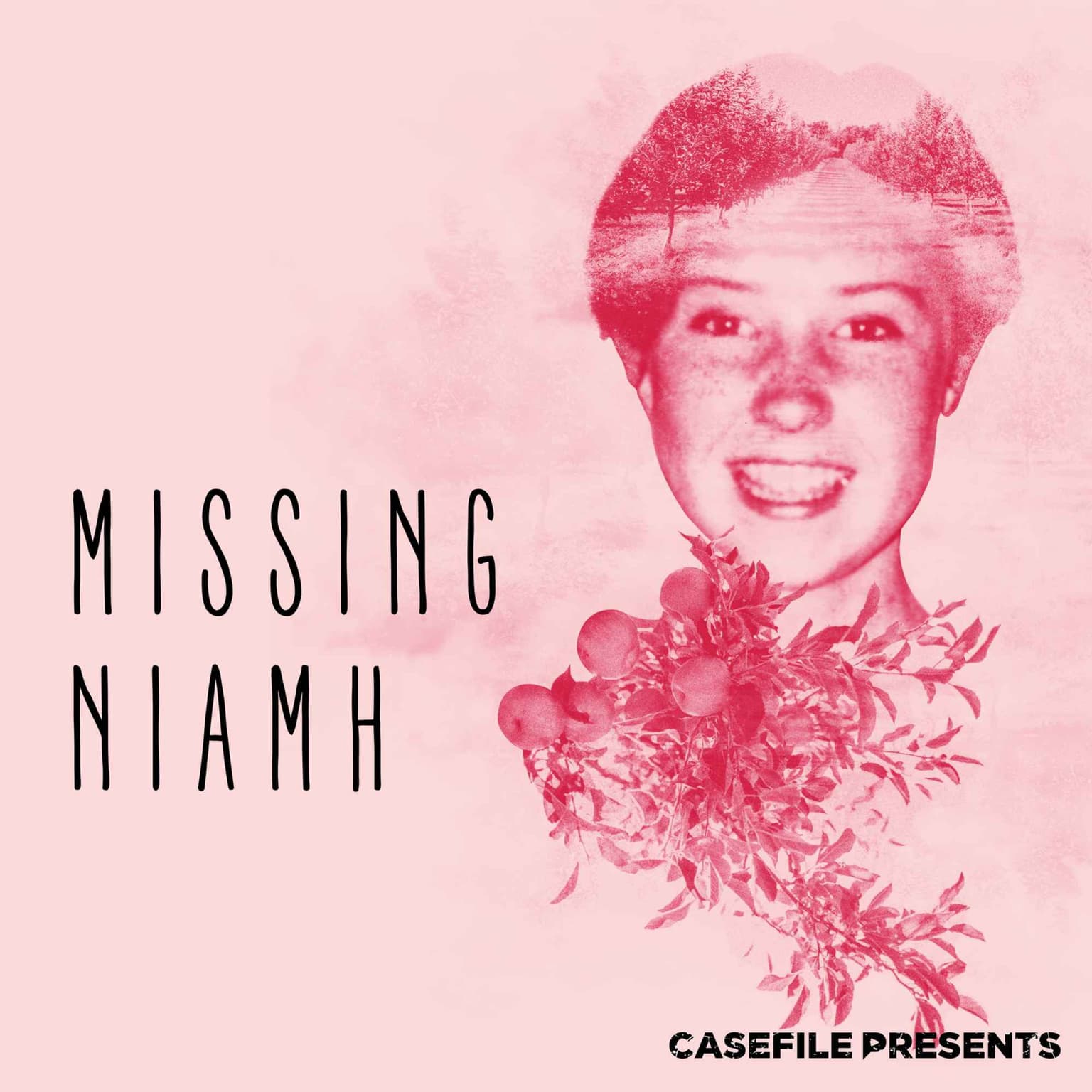 Missing Niamh - Episode 1 artwork