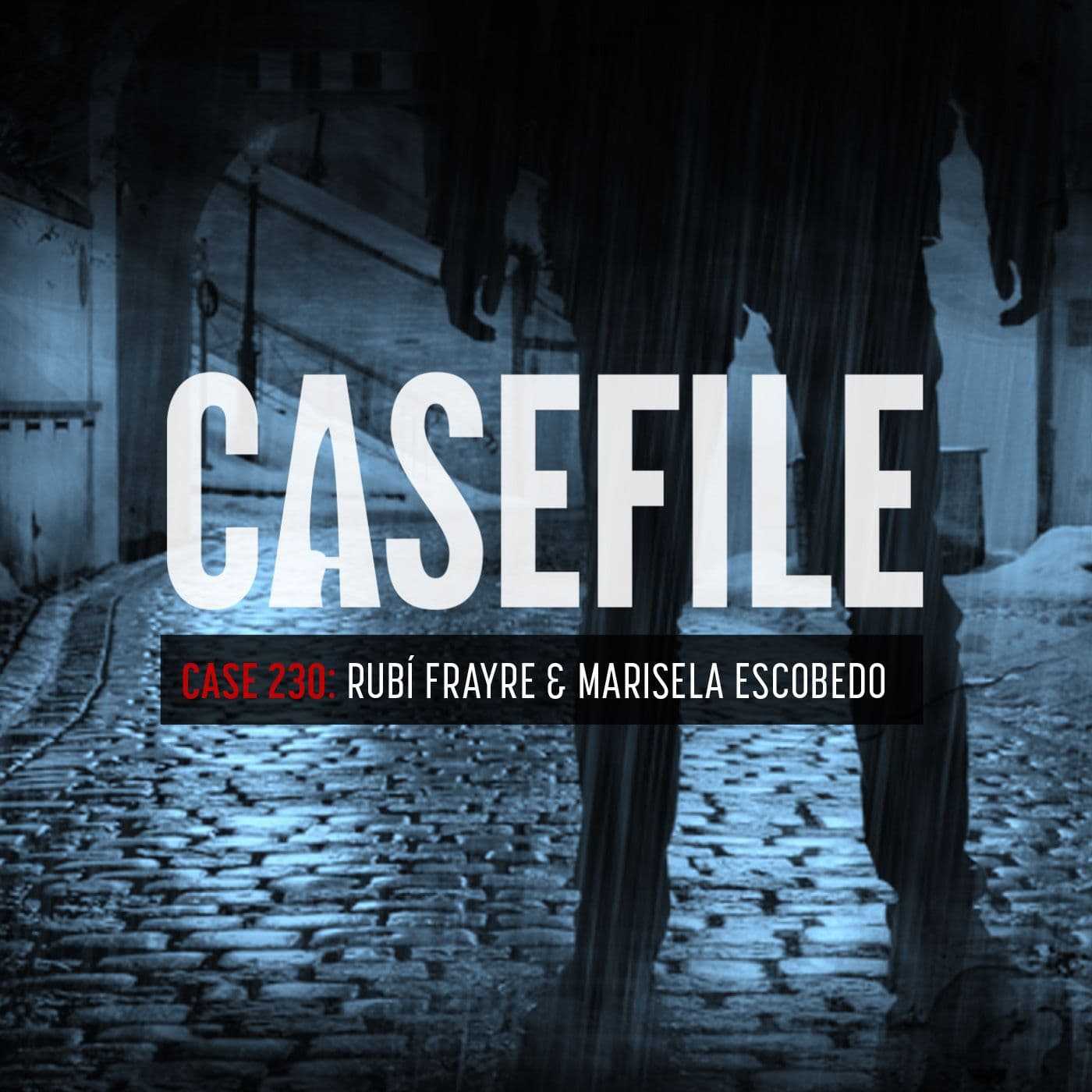 Case 230: Rubí Frayre & Marisela Escobedo artwork