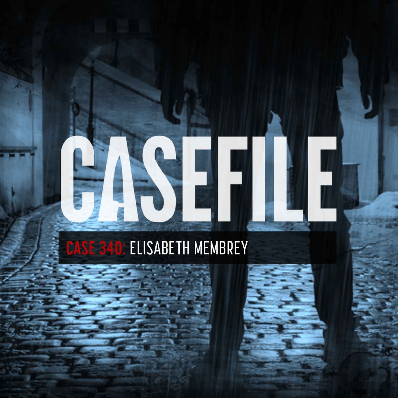Case 340: Elisabeth Membrey artwork