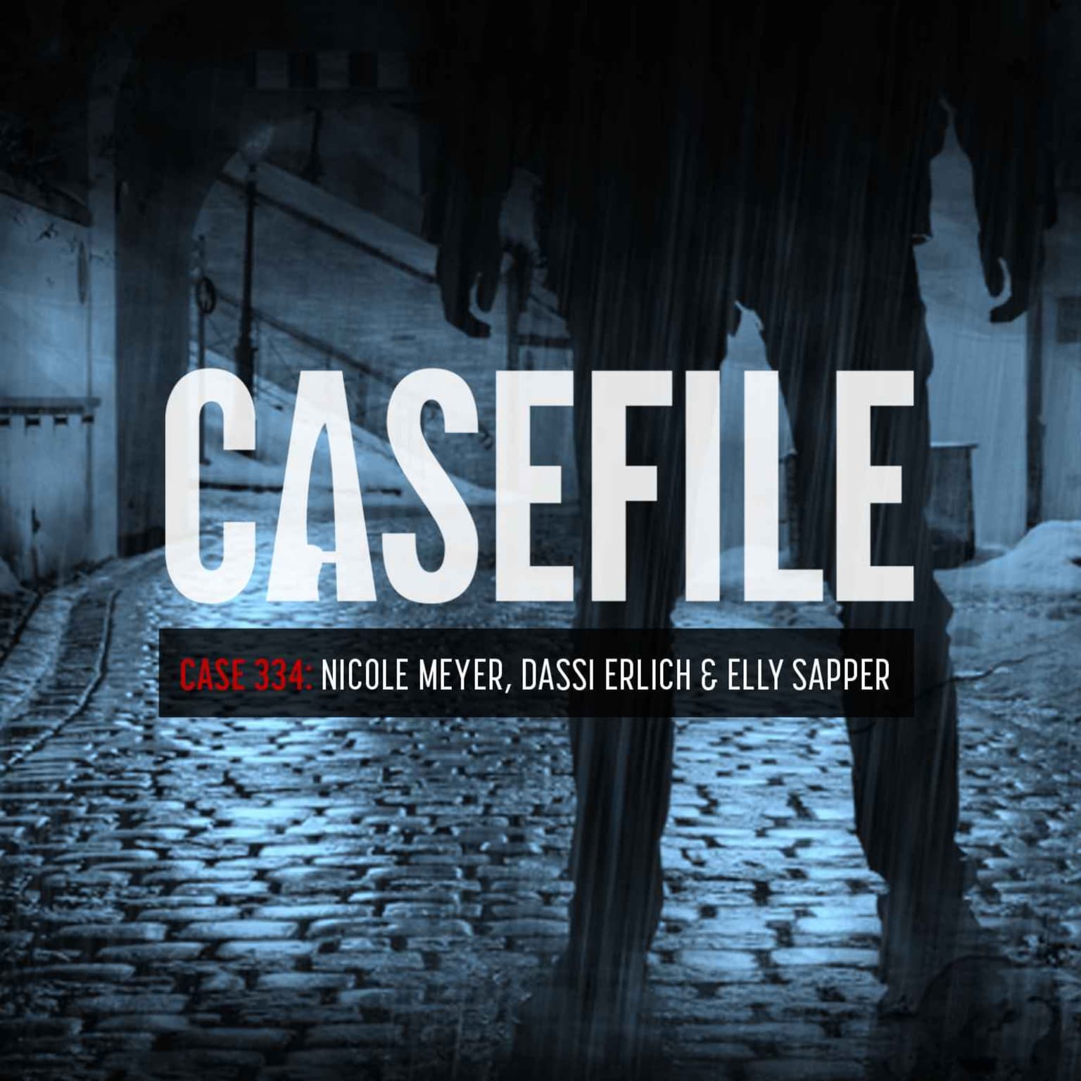 Case 334: Nicole Meyer, Dassi Erlich & Elly Sapper artwork