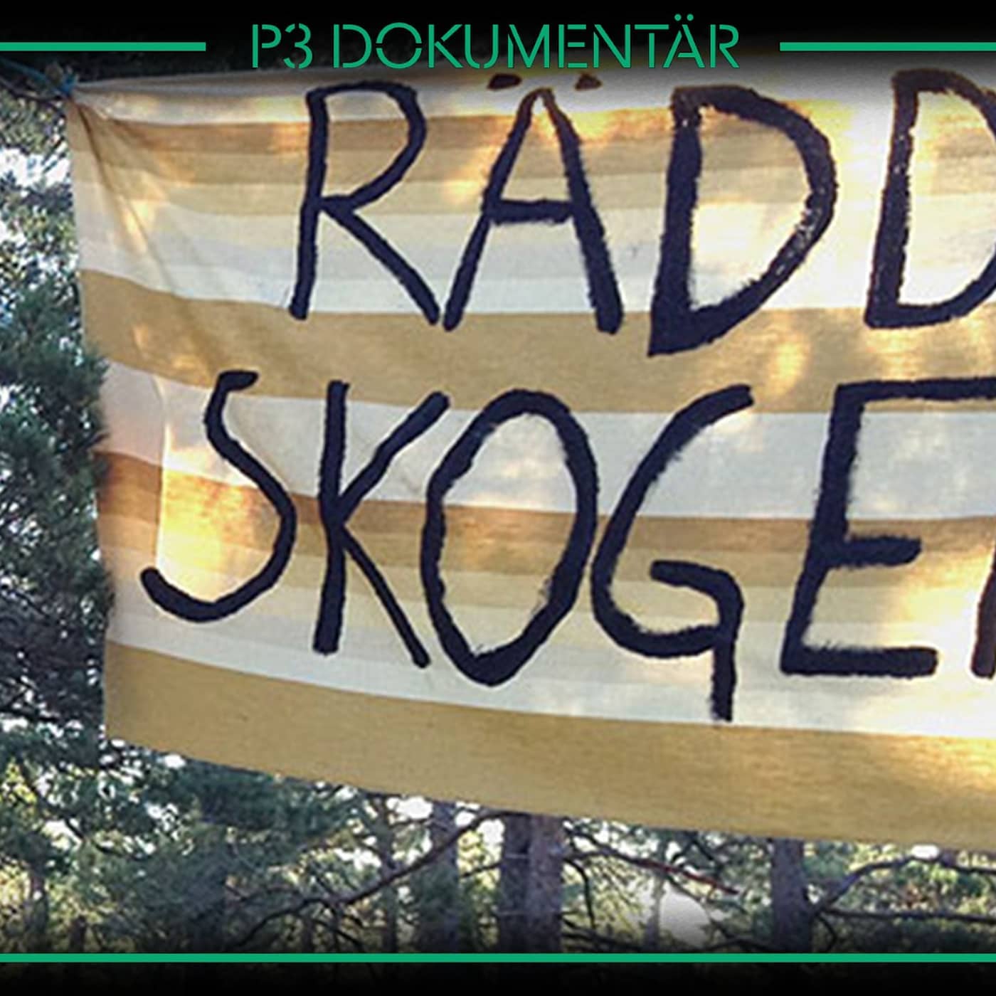 Striden om Ojnareskogen artwork