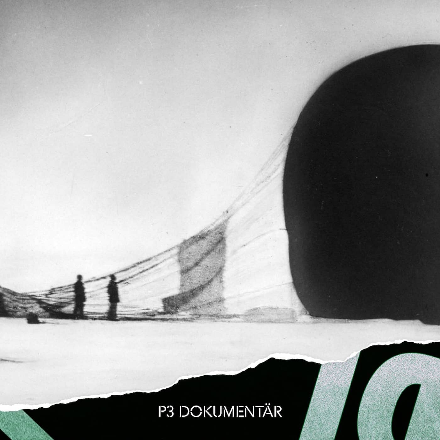 Den dödsdömda polarexpeditionen artwork