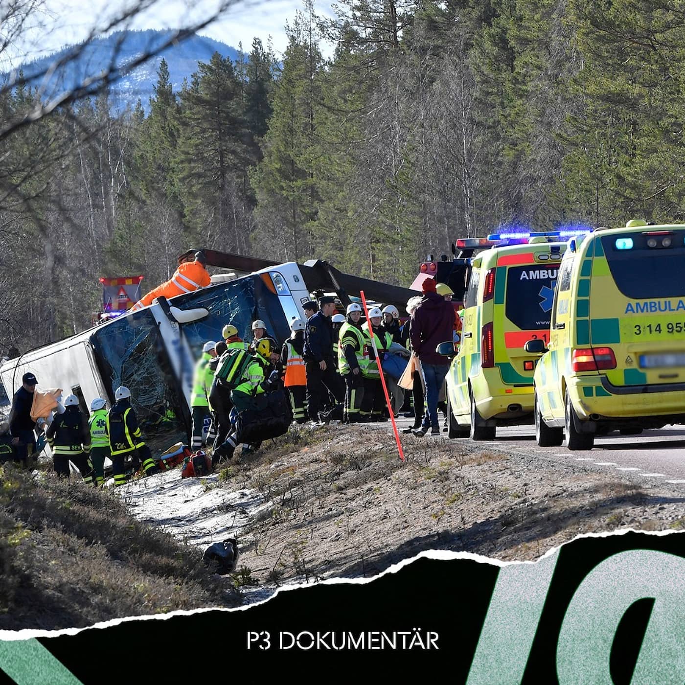 Bussolyckan i Sveg artwork