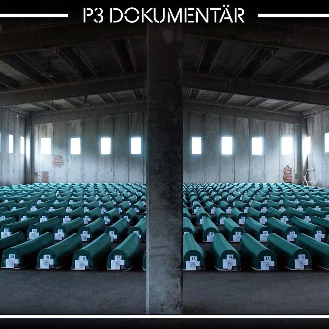 Folkmordet i Srebrenica artwork