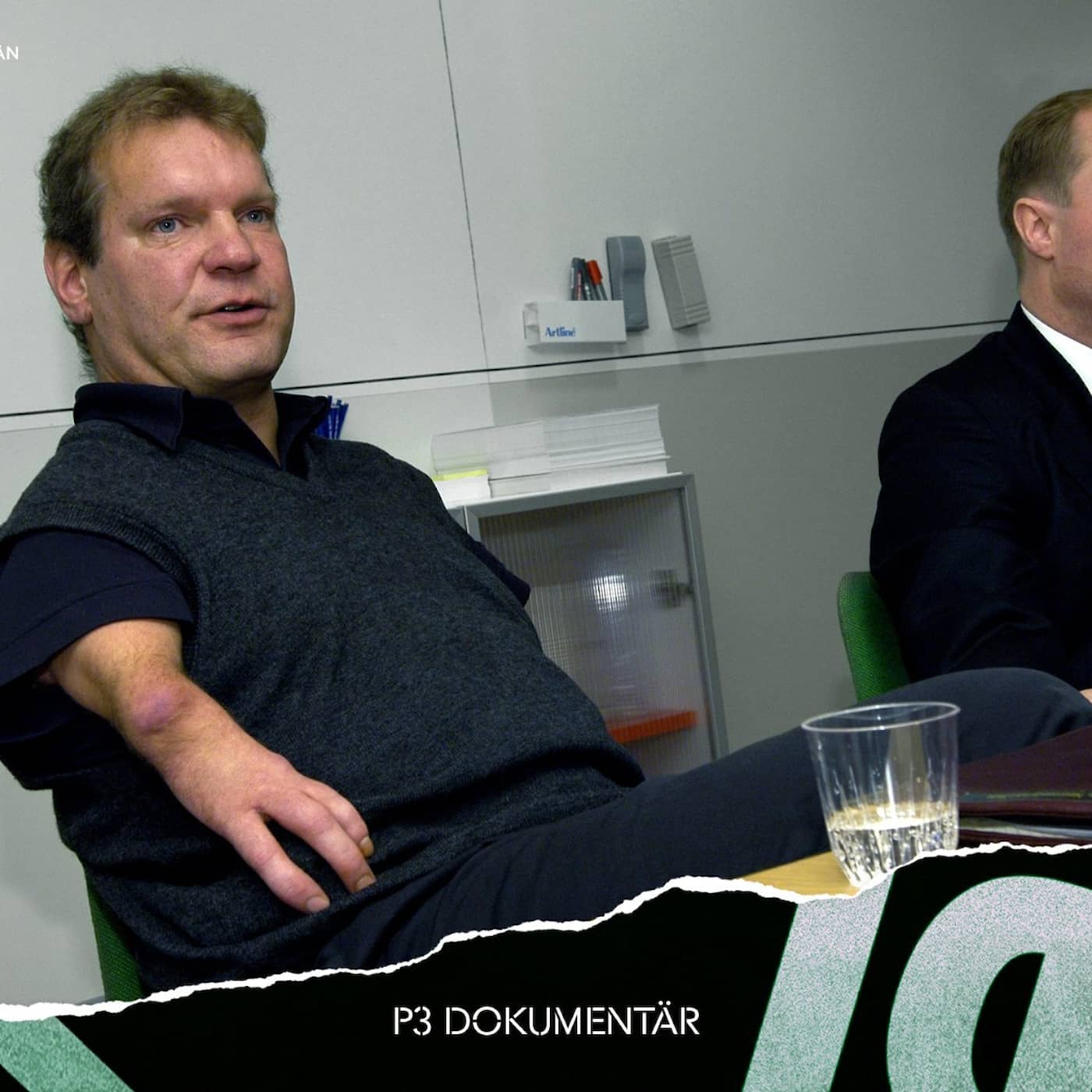 Neurosedynet och fosterskadorna artwork