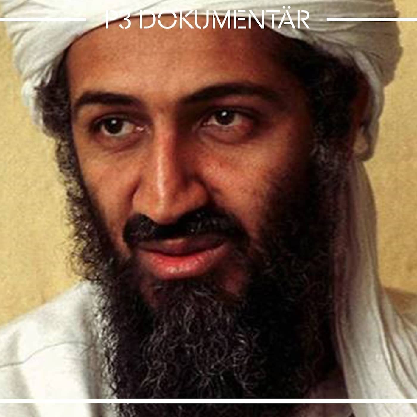 Jakten på Usama bin Ladin artwork