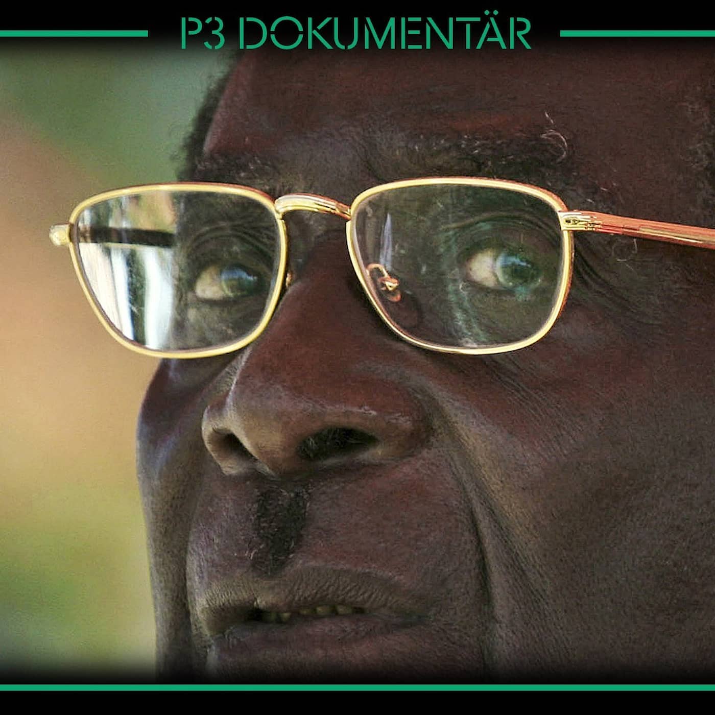 Robert Mugabe – hjälten som blev diktator artwork